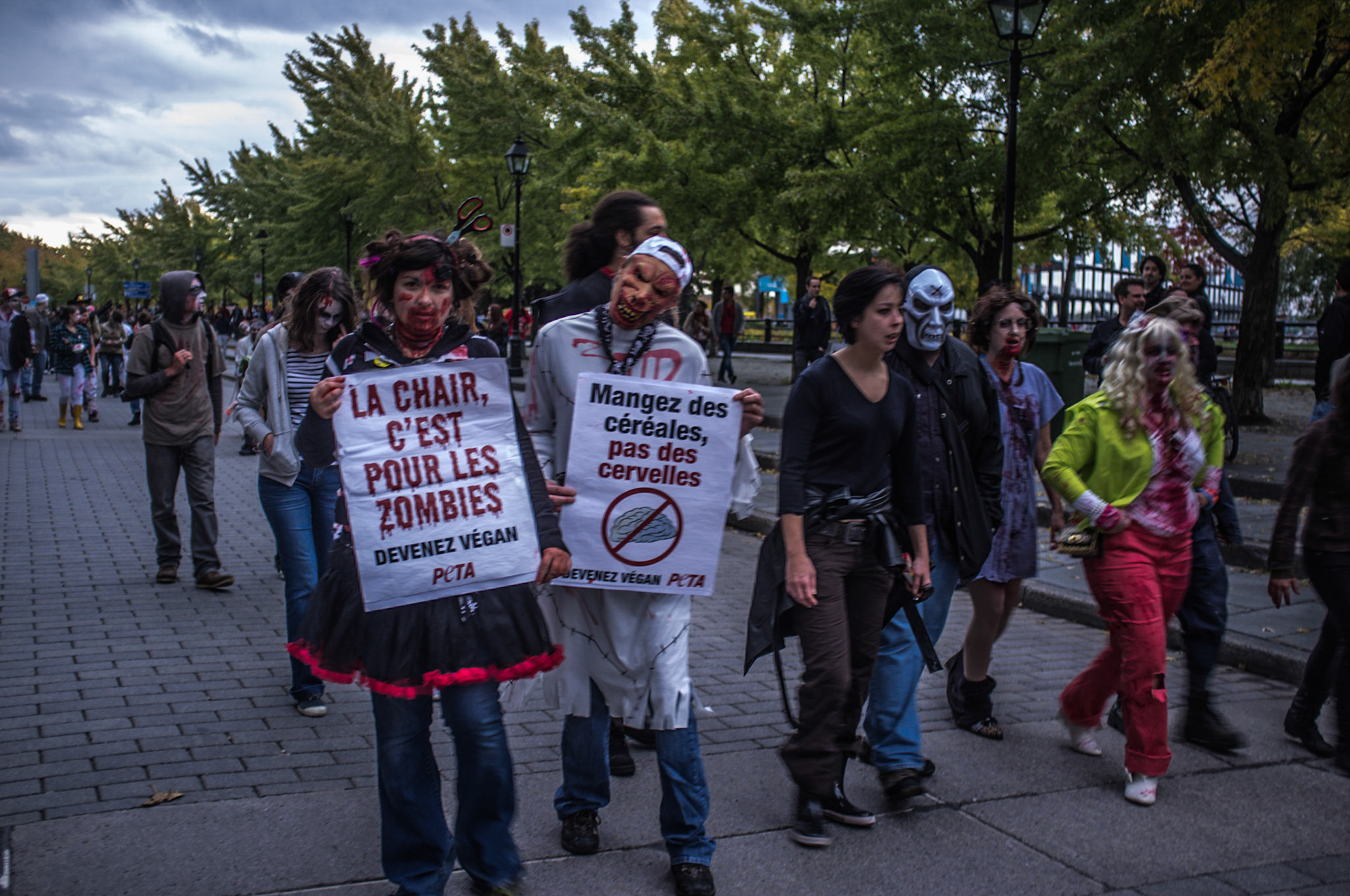 (Oba) Ohkba Ameziane-Hassani 2016 © obafkps@gmail.com ©  www.oba-photo.com