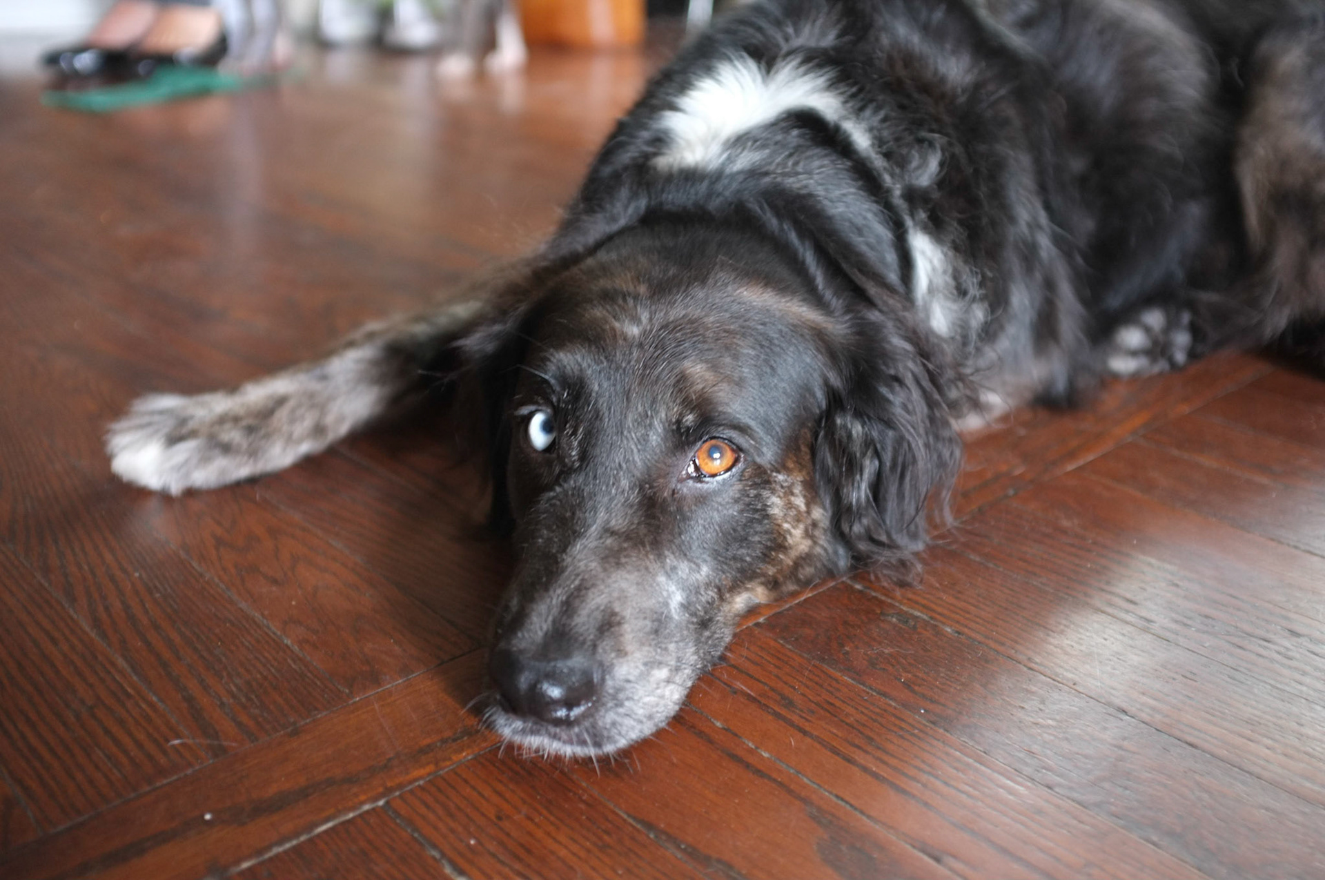 (Oba) Ohkba Ameziane-Hassani 2016 © obafkps@gmail.com ©  www.oba-photo.com