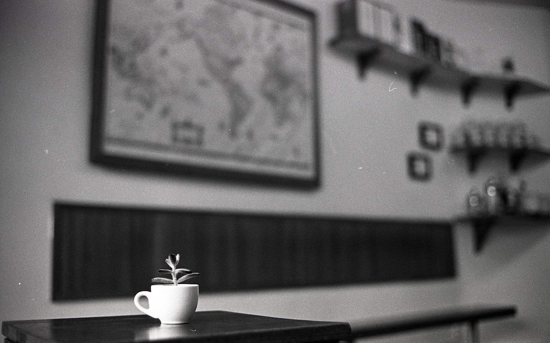 (Oba) Ohkba Ameziane-Hassani 2016 © obafkps@gmail.com ©  www.oba-photo.com