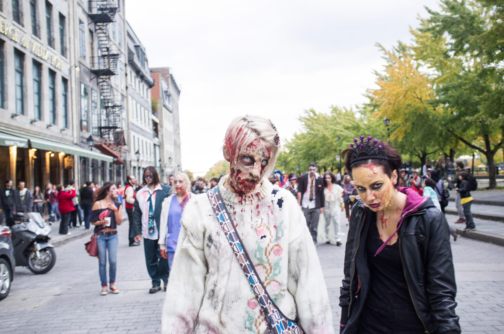 (Oba) Ohkba Ameziane-Hassani 2016 © obafkps@gmail.com ©  www.oba-photo.com