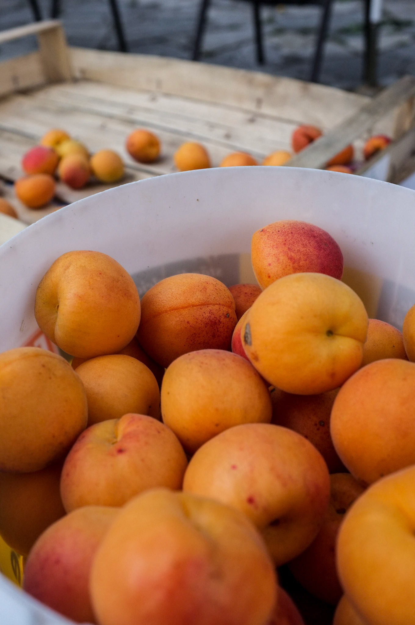 (Oba) Ohkba Ameziane-Hassani 2016 © obafkps@gmail.com ©  www.oba-photo.com