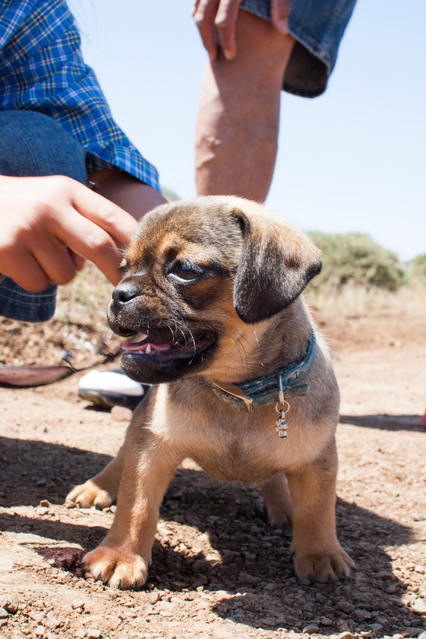 (Oba) Ohkba Ameziane-Hassani 2016 © obafkps@gmail.com ©  www.oba-photo.com