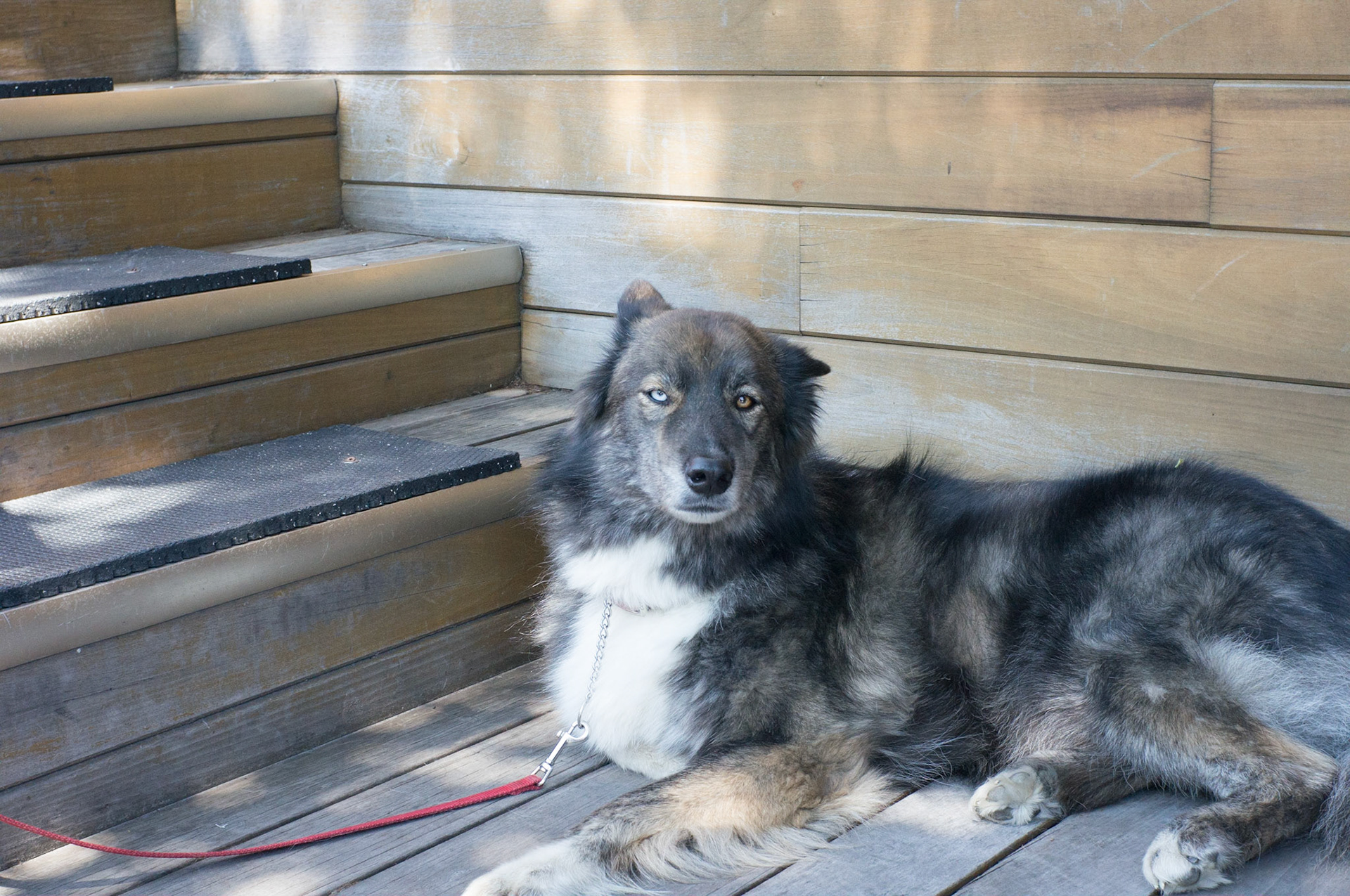 (Oba) Ohkba Ameziane-Hassani 2016 © obafkps@gmail.com ©  www.oba-photo.com