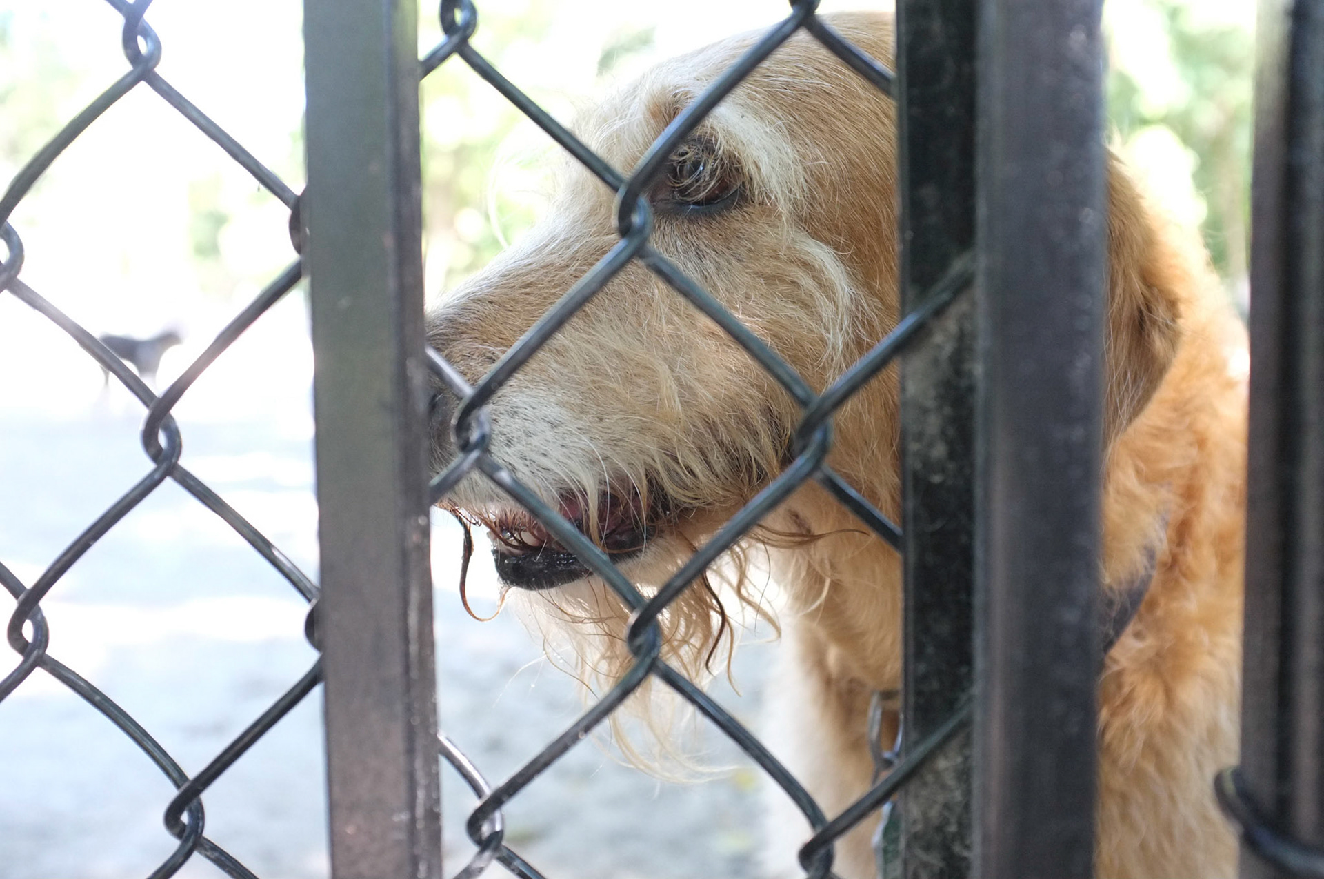 (Oba) Ohkba Ameziane-Hassani 2016 © obafkps@gmail.com ©  www.oba-photo.com