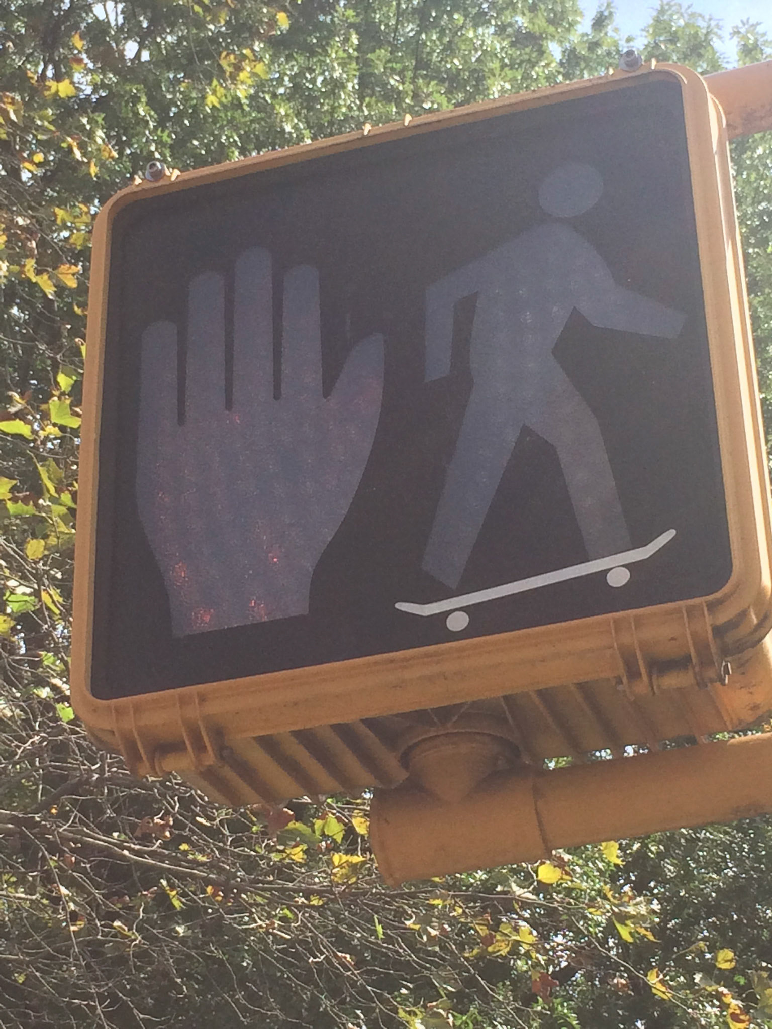 (Oba) Ohkba Ameziane-Hassani 2016 © obafkps@gmail.com ©  www.oba-photo.com