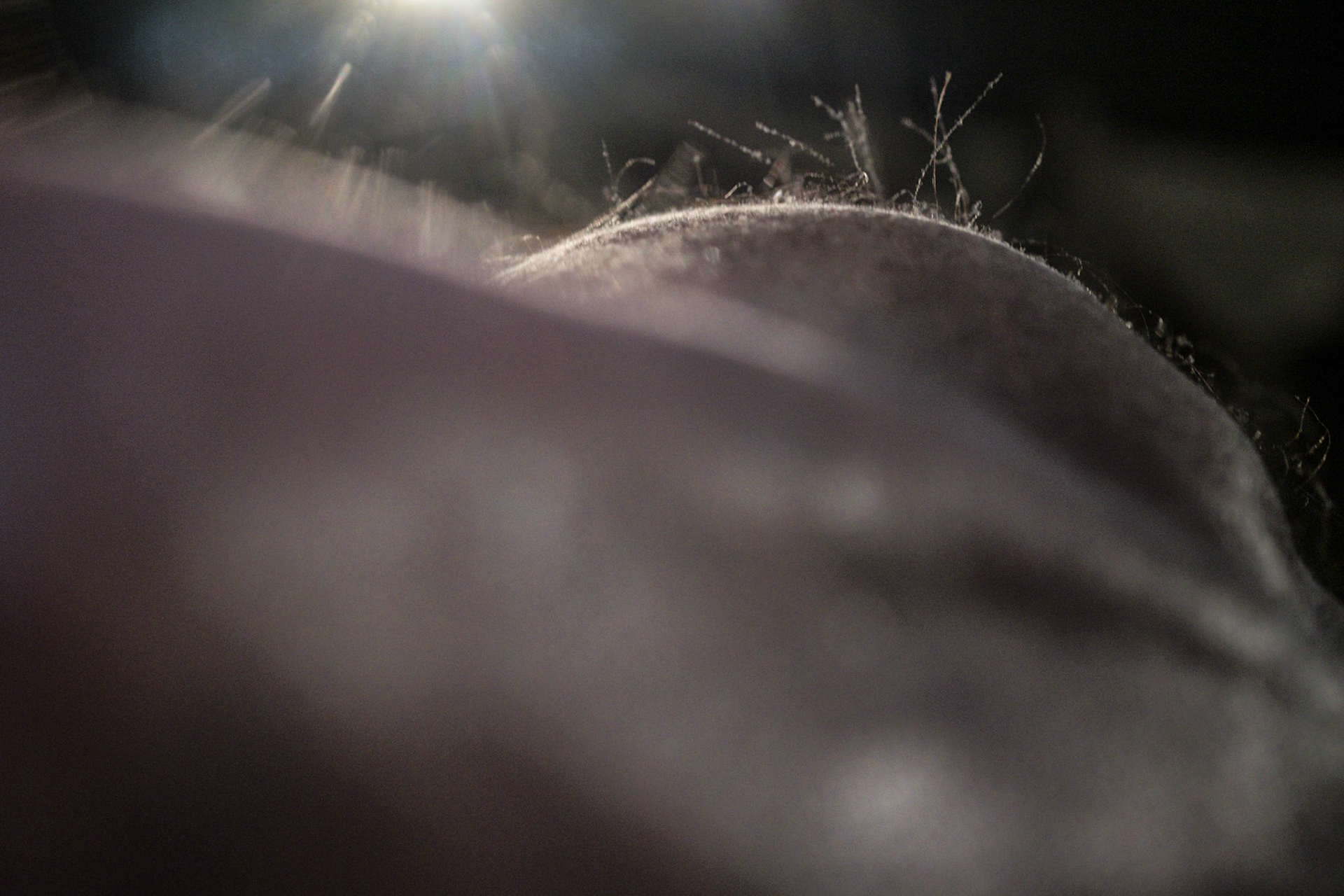 (Oba) Ohkba Ameziane-Hassani 2016 © obafkps@gmail.com ©  www.oba-photo.com