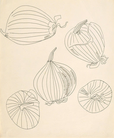 'Five View of an Onion', Andy Warhol, 1950's