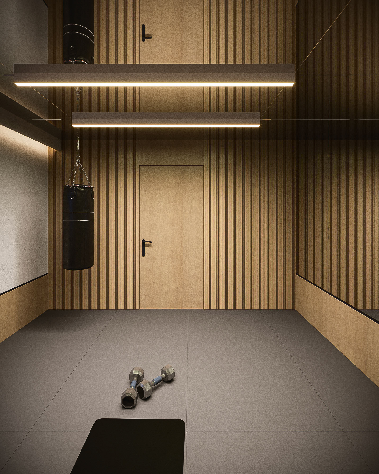 KONCEPCJA SIŁOWNI W DOMU PRYWATNYM  /  WIZ. BAMM Studio