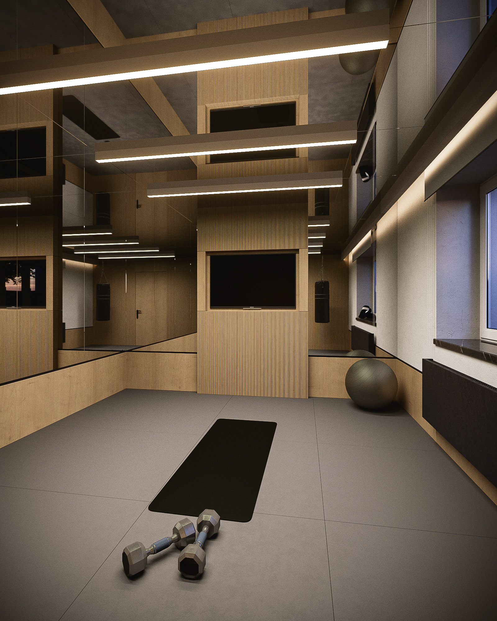 KONCEPCJA SIŁOWNI W DOMU PRYWATNYM  /  WIZ. BAMM Studio