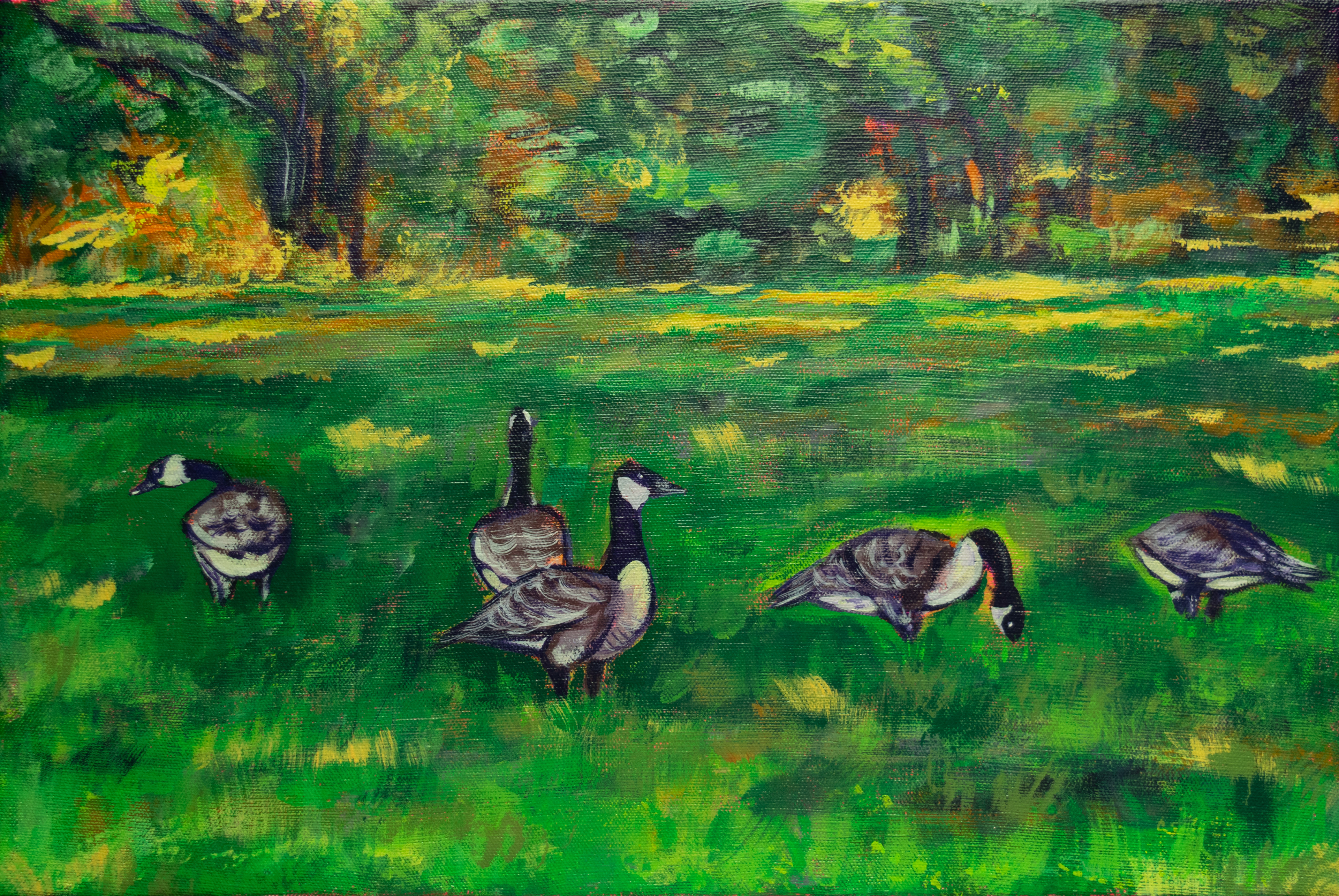 Geese at North Branch, 2025, Acrylic on Canvas, 12"x18"
