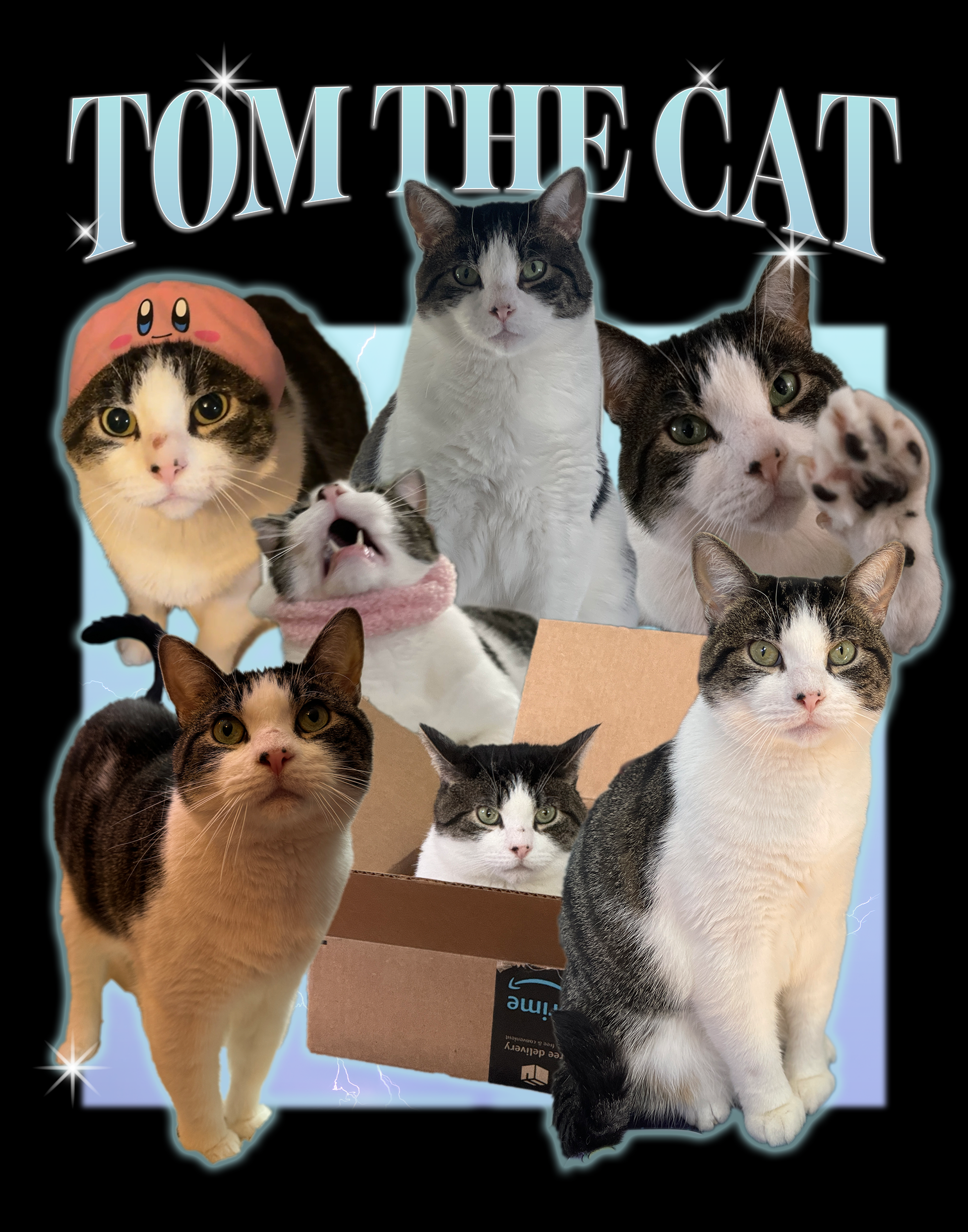 Tom the Cat T-Shirt Design, 2024