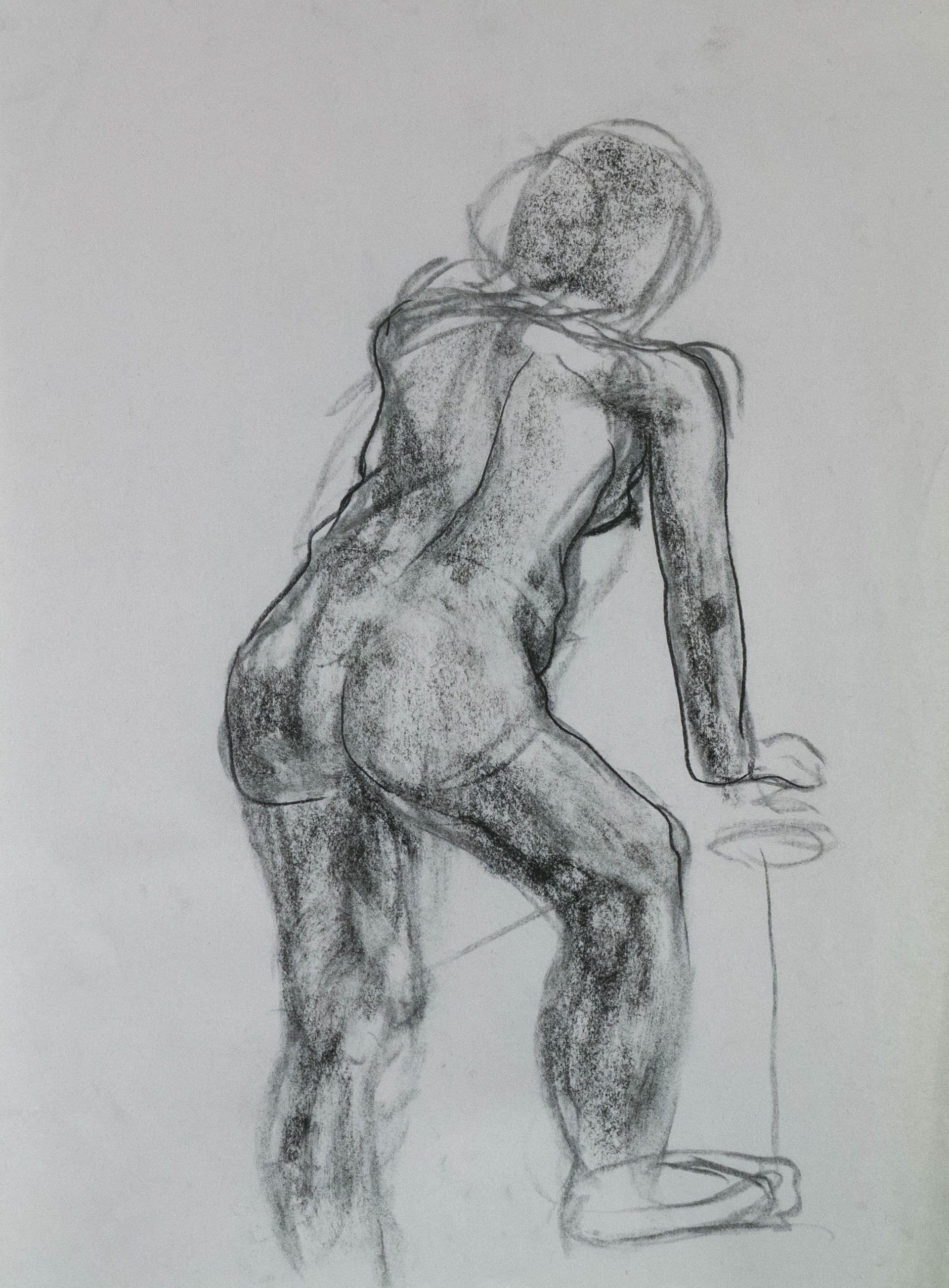 Anatomy Study, 2016, Charcoal on Paper