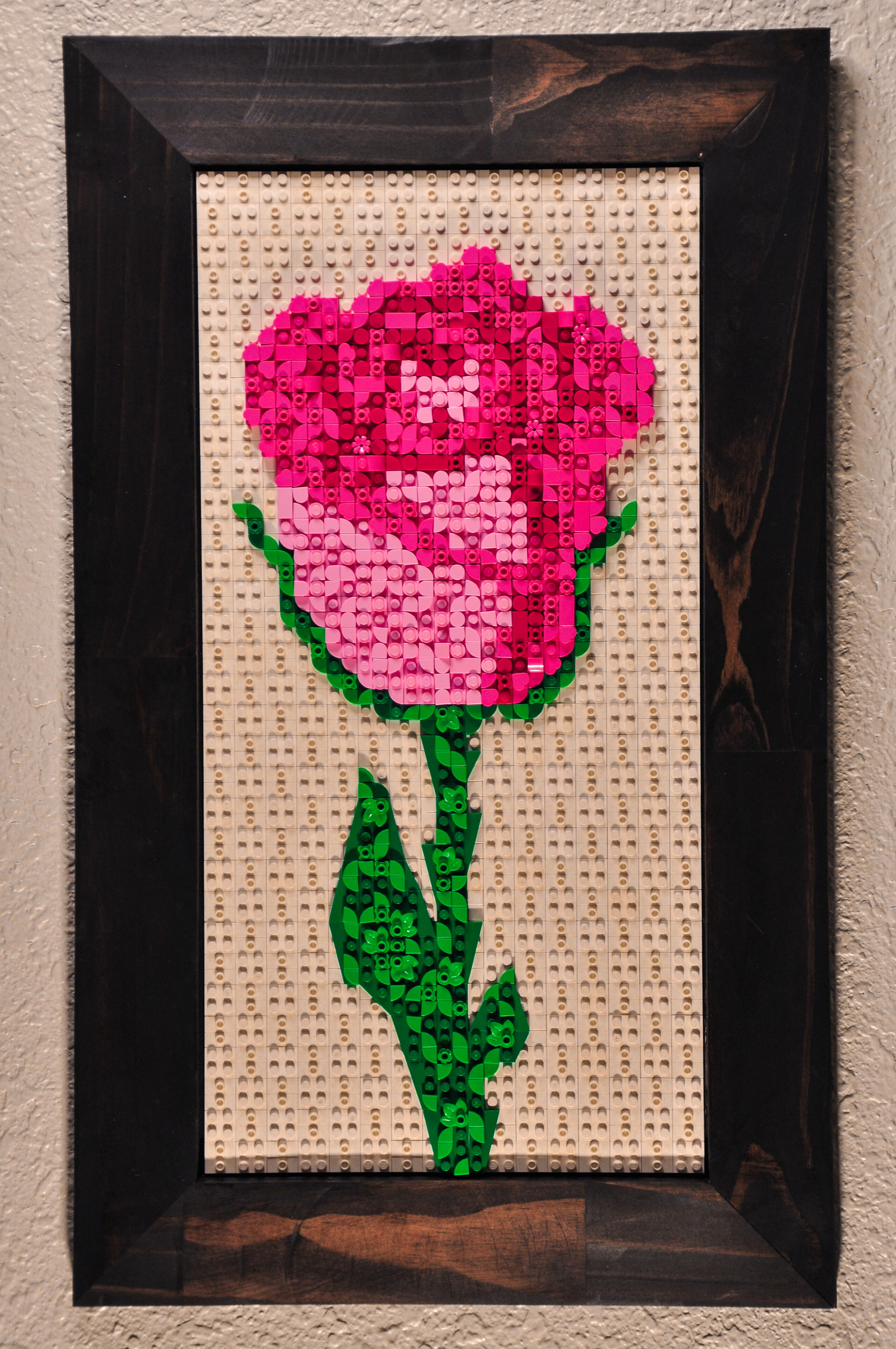 Bittersweet - February 2024 - 32x64 studs