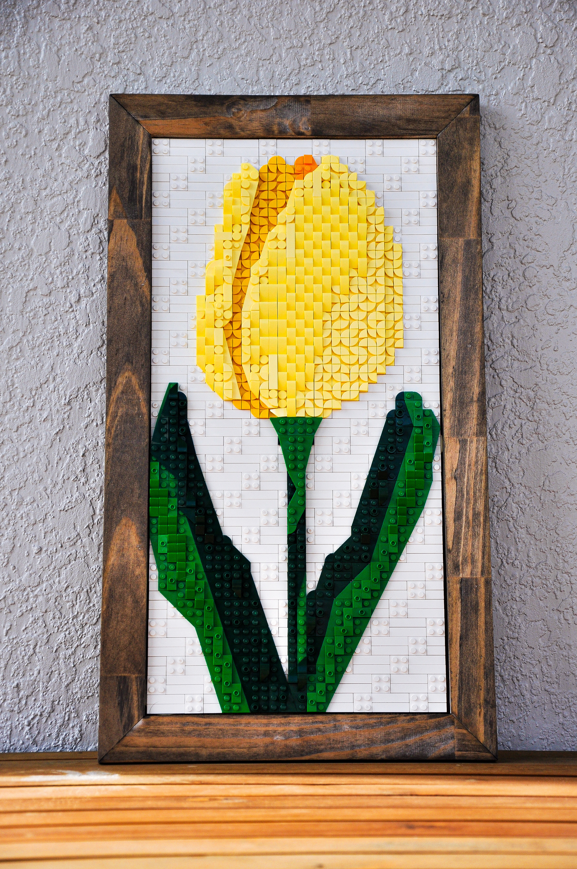 Tulip - December 2023 - 32x64 studs