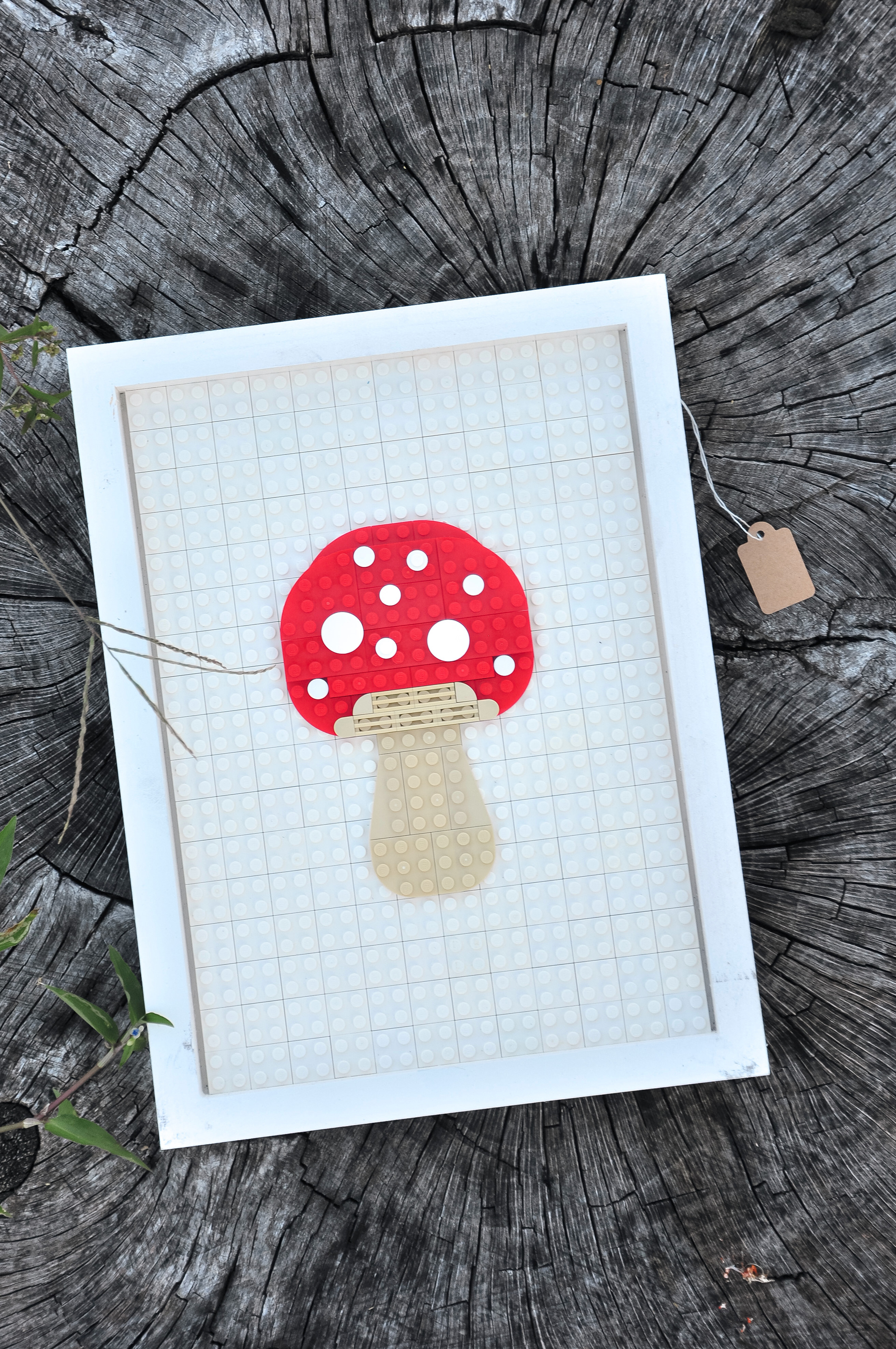 Mushroom - September 2024 - 9x12 inches