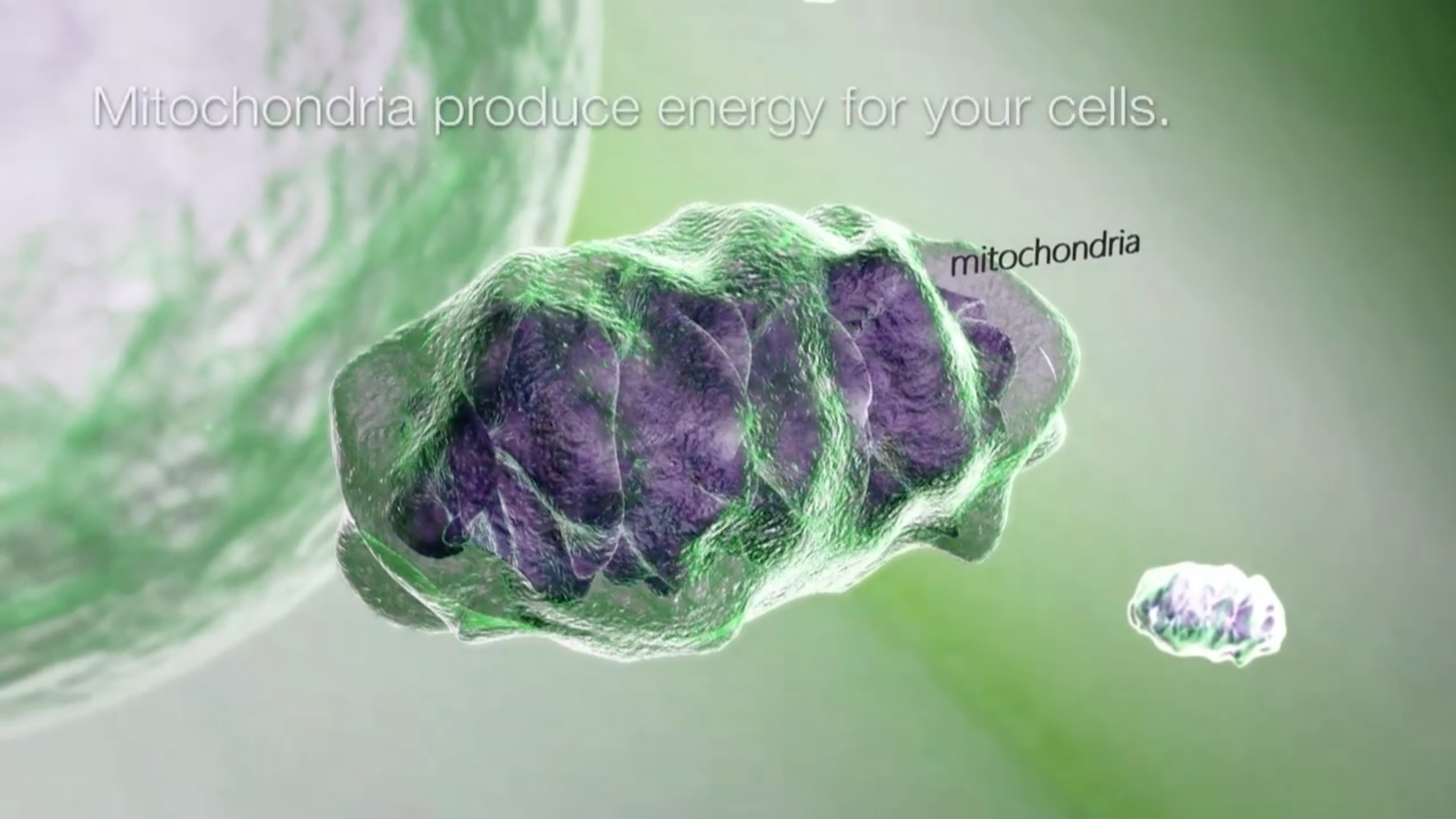 Biotherm