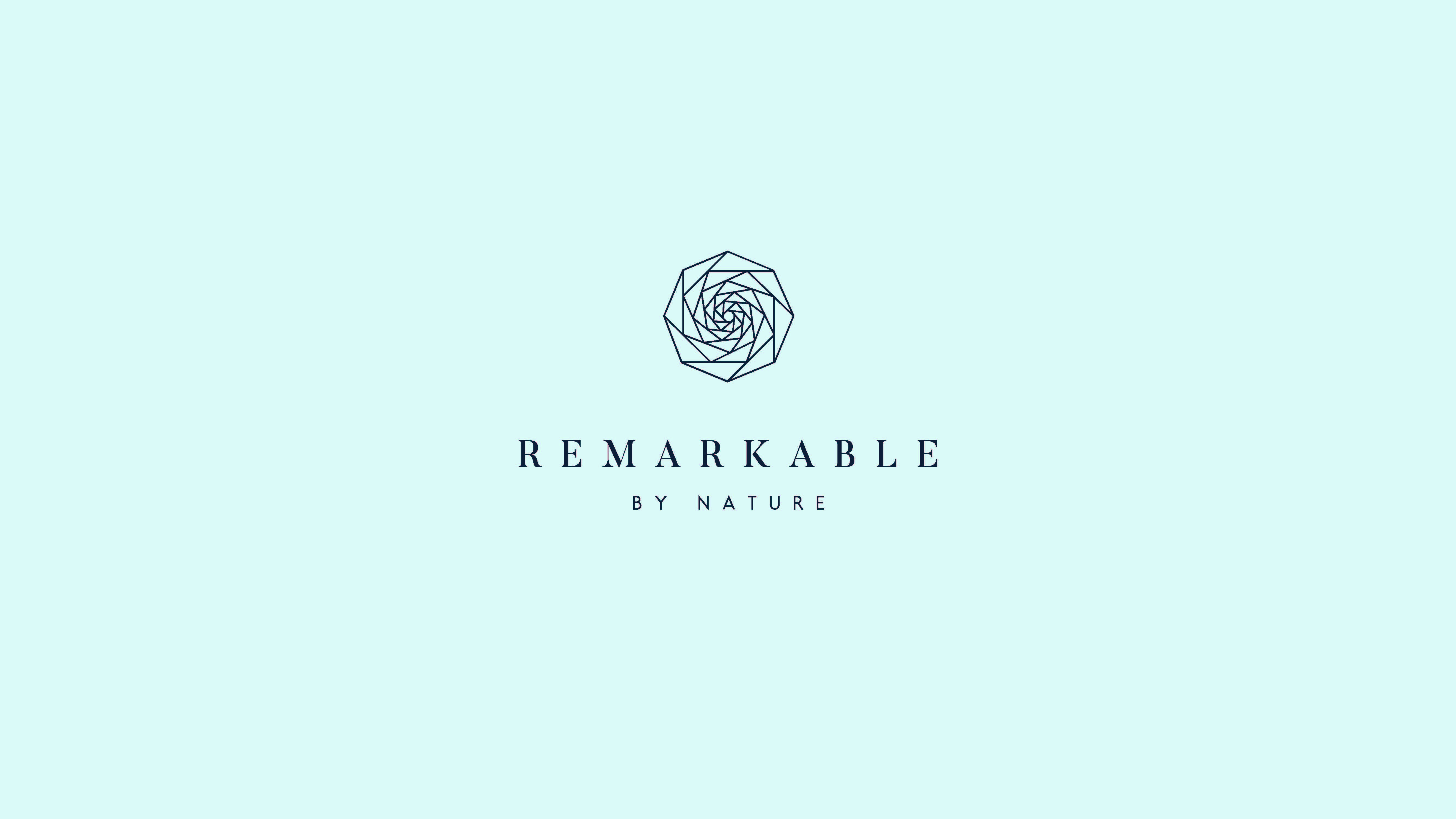 REMARKABLE — image 11
