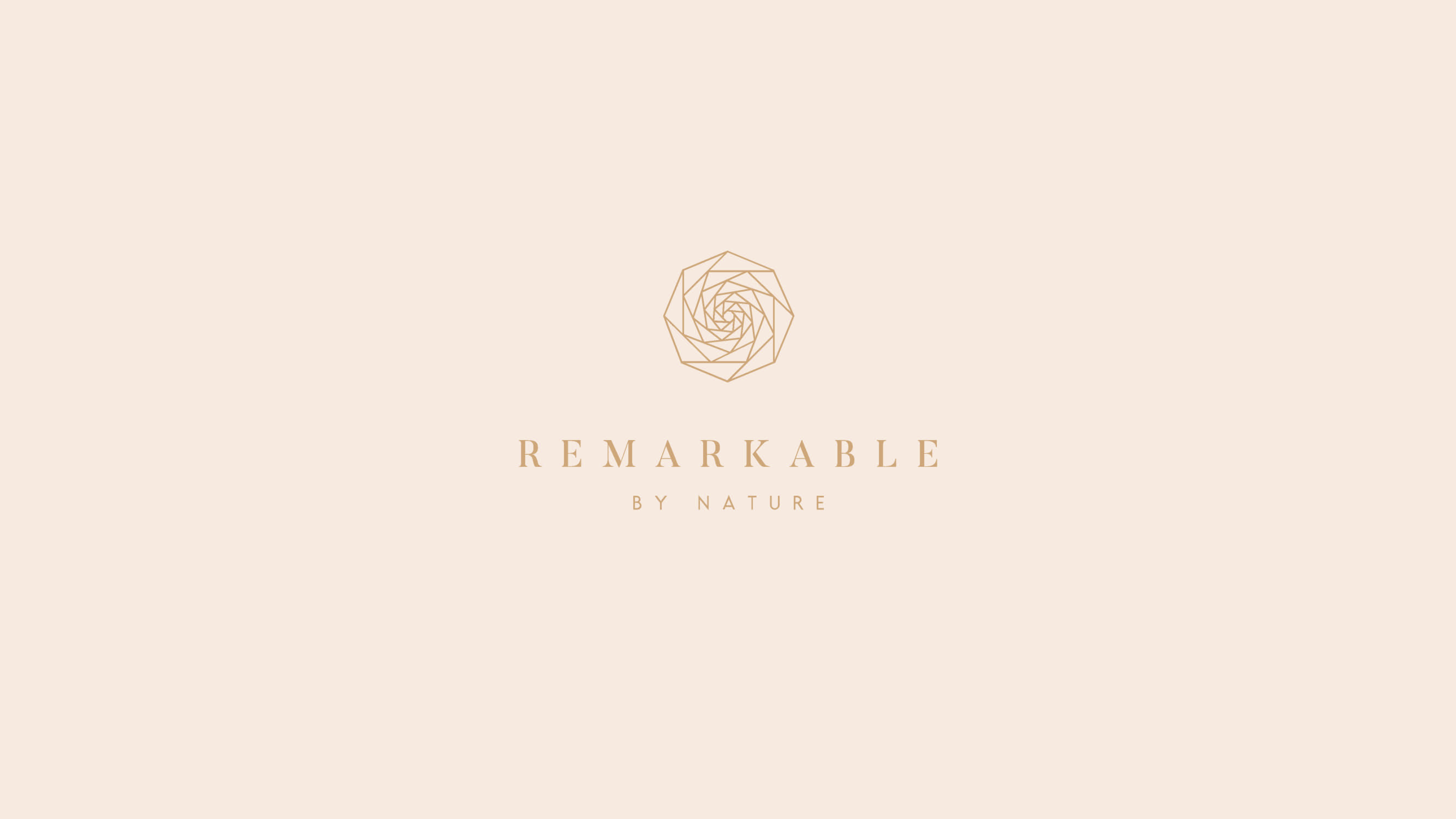 REMARKABLE — image 13