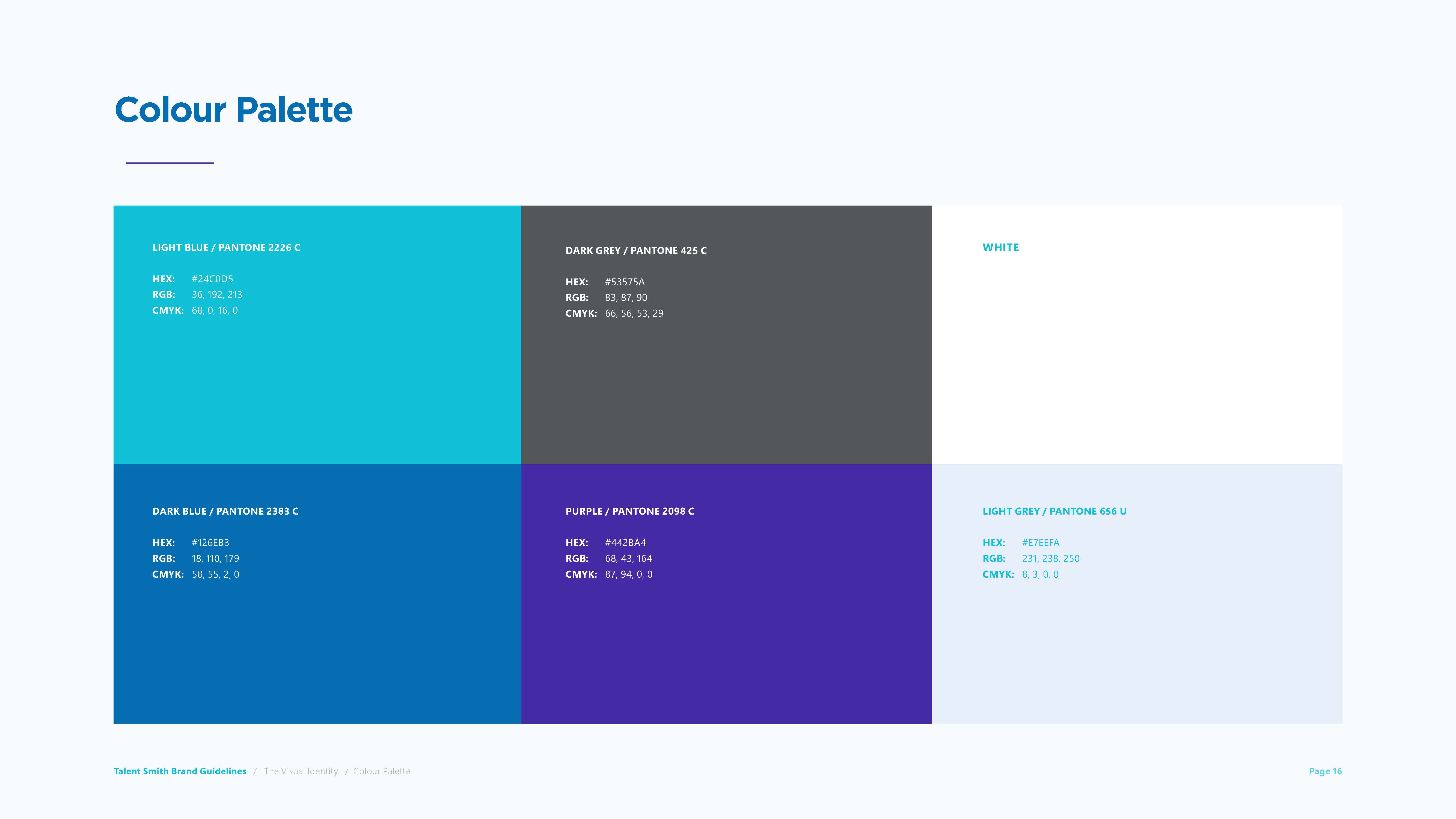TalentSmith — image 16