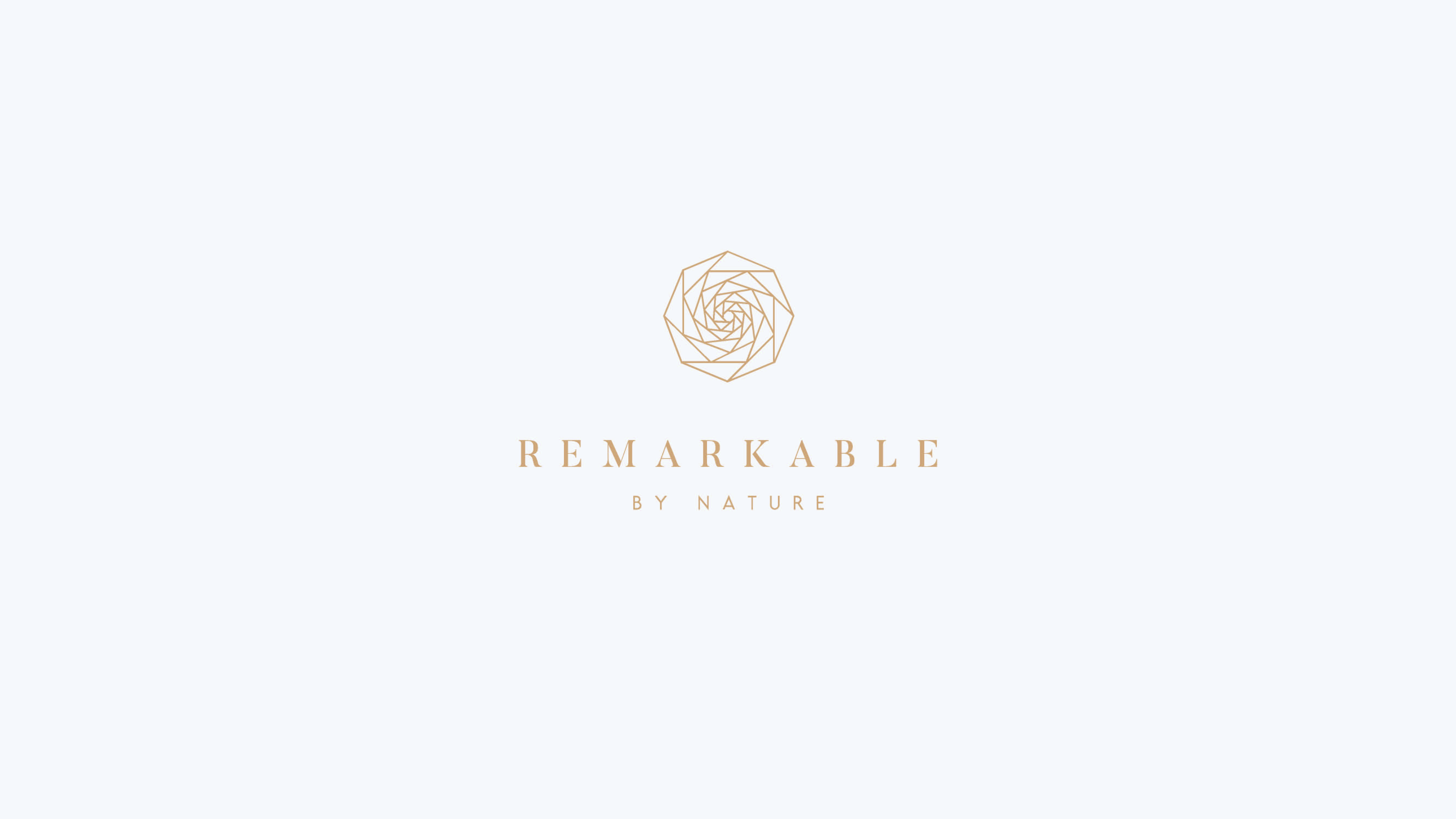 REMARKABLE — image 15