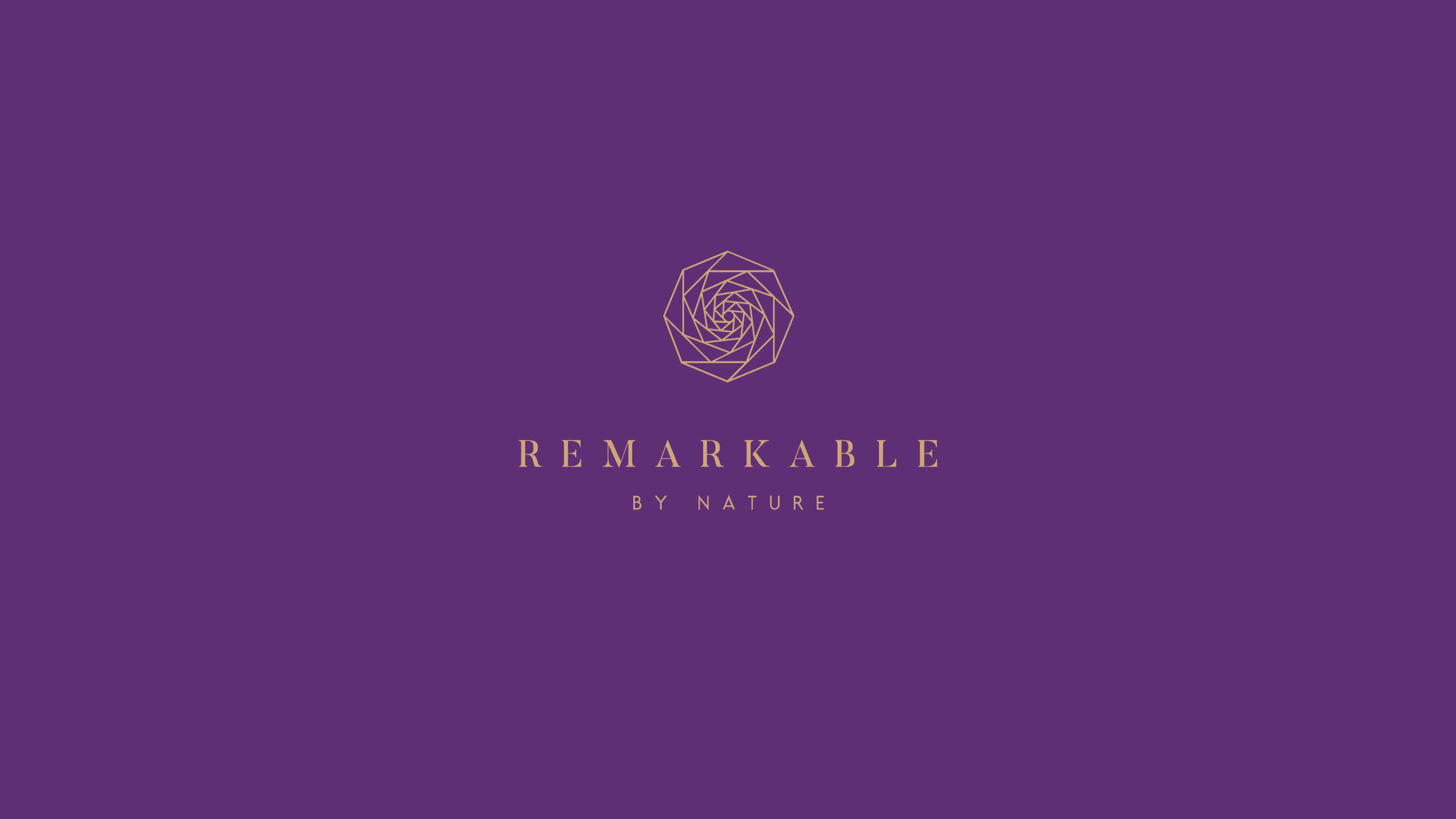 REMARKABLE — image 19