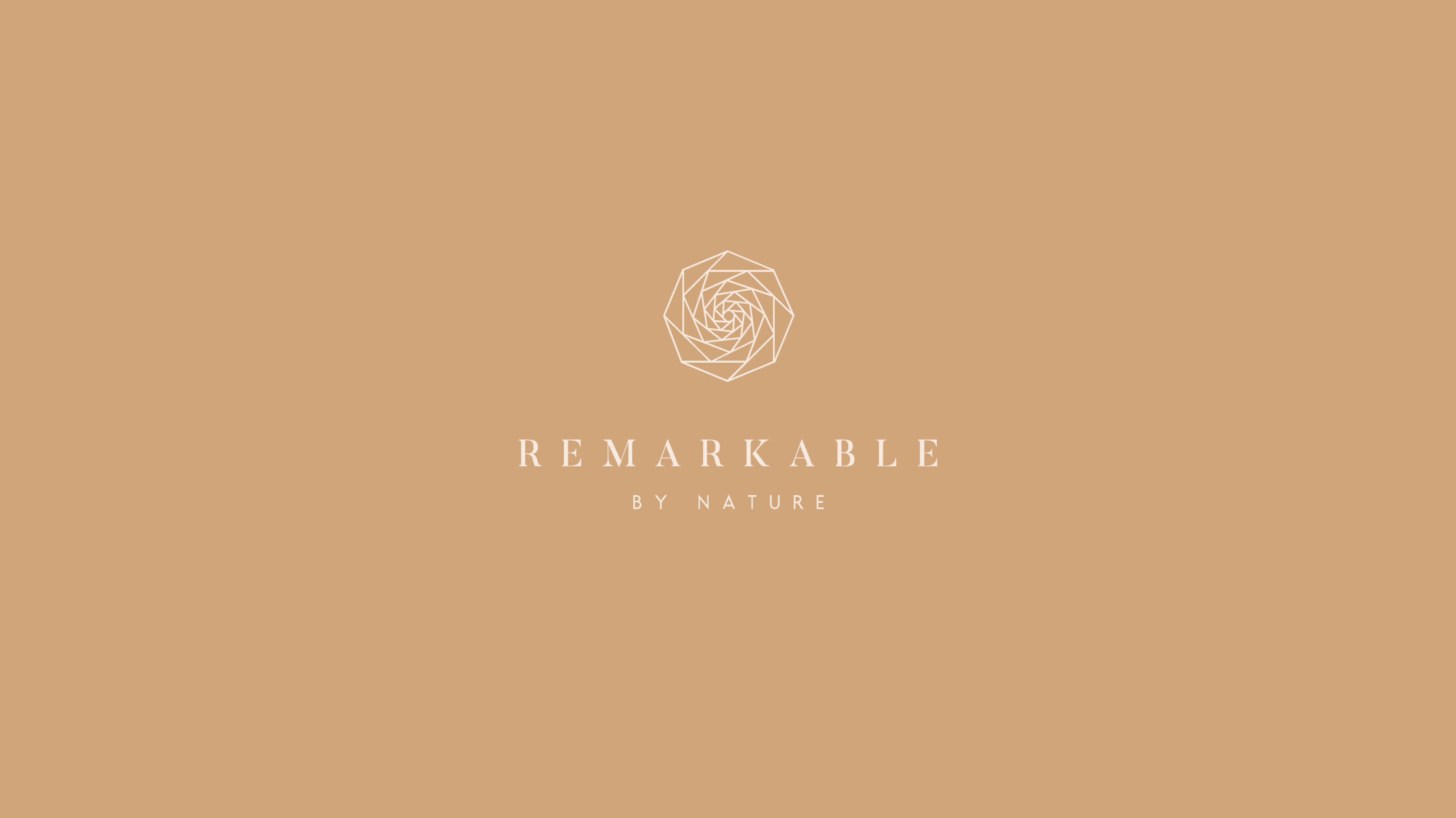 REMARKABLE — image 17