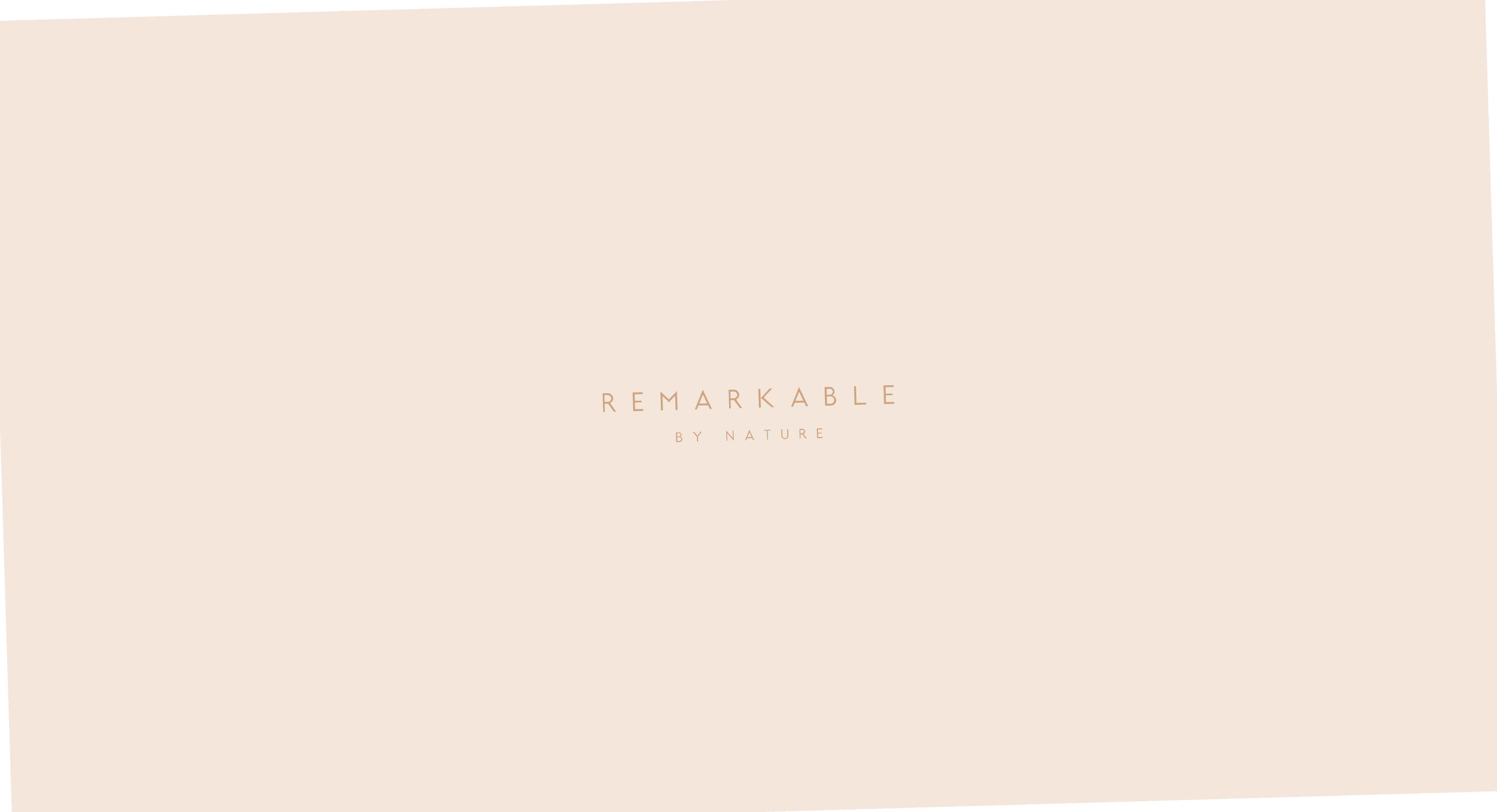 REMARKABLE — image 2