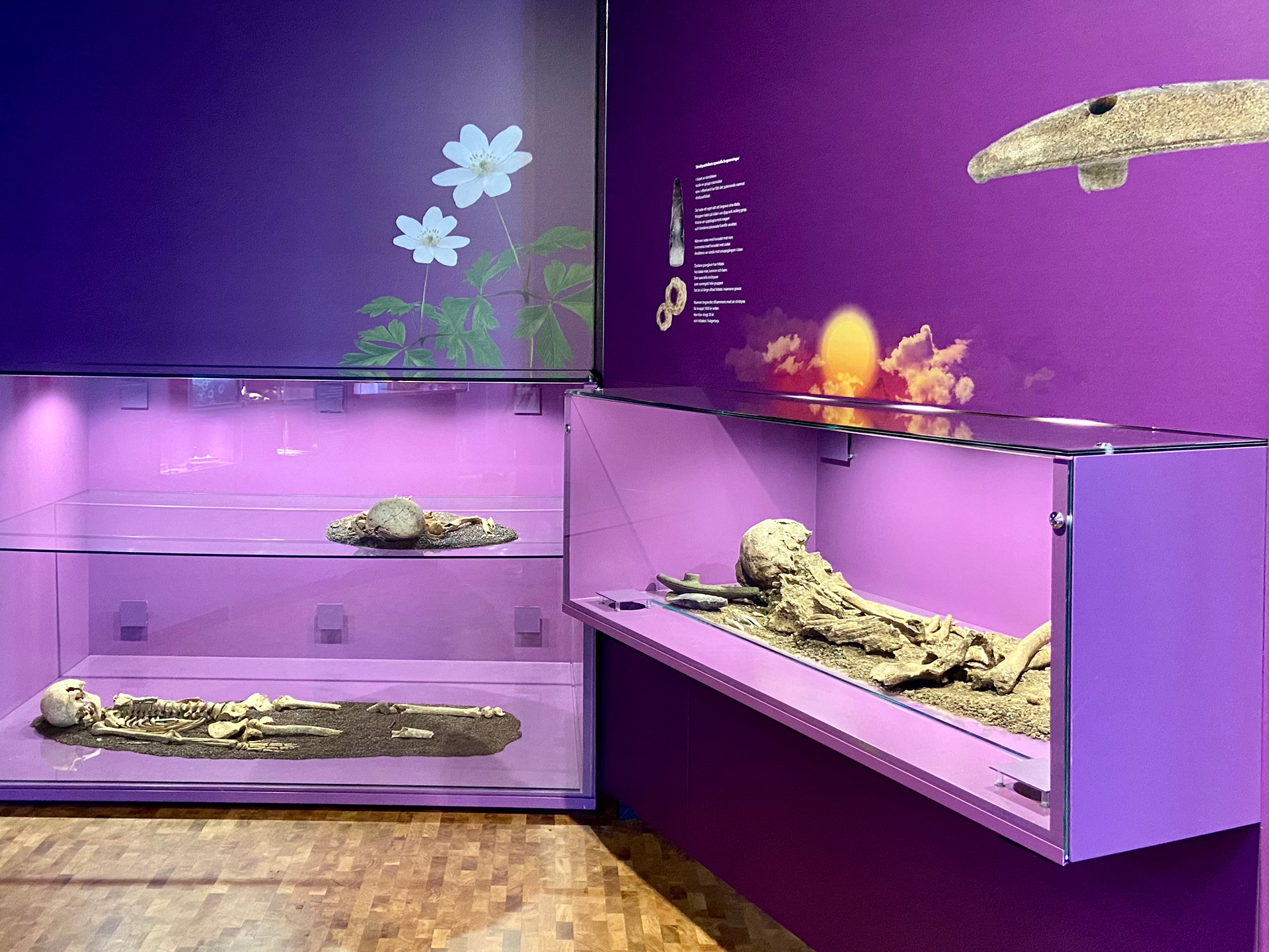 Malmö museum - Ledtrådar