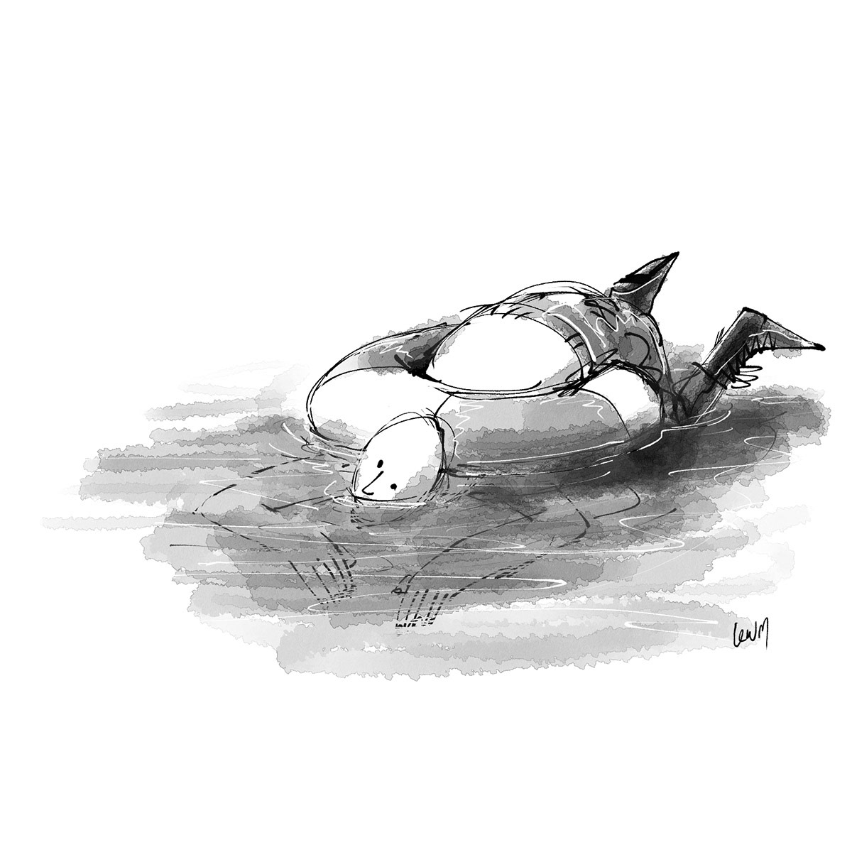 泳ぎの練習