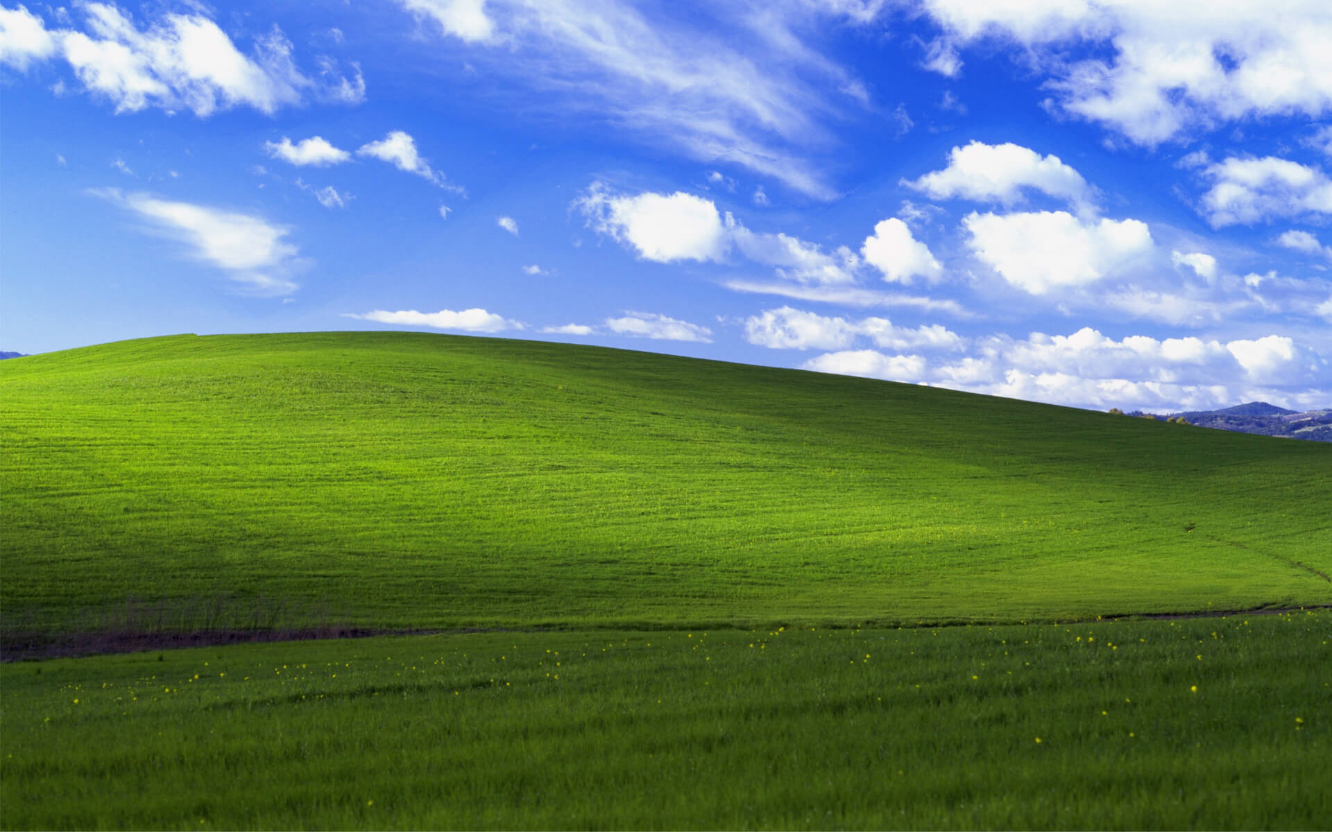 Charles O’Rear, Sonoma Country, California, 1996