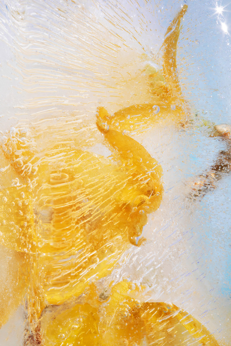 Forsythia // Forsythia