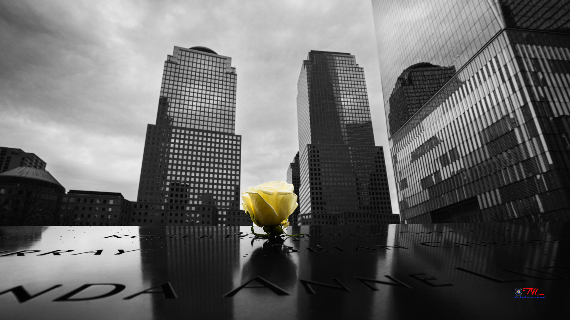 Capture 2 Buildings at Ground Zero to mimic the Twin Tower in NYC, USA (Mar 2024)