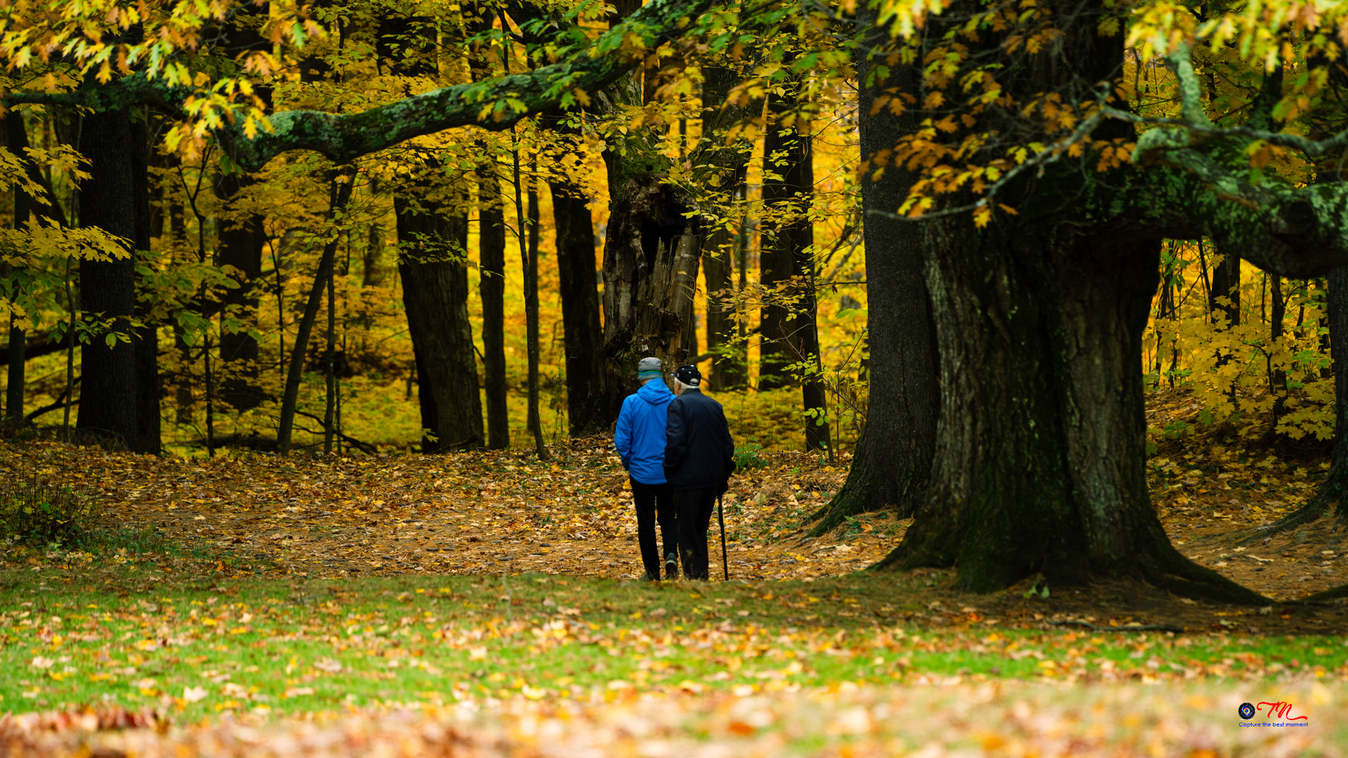 In the fall at Mackenzie King Estate, Chelsea, QC (Oct 2023)
