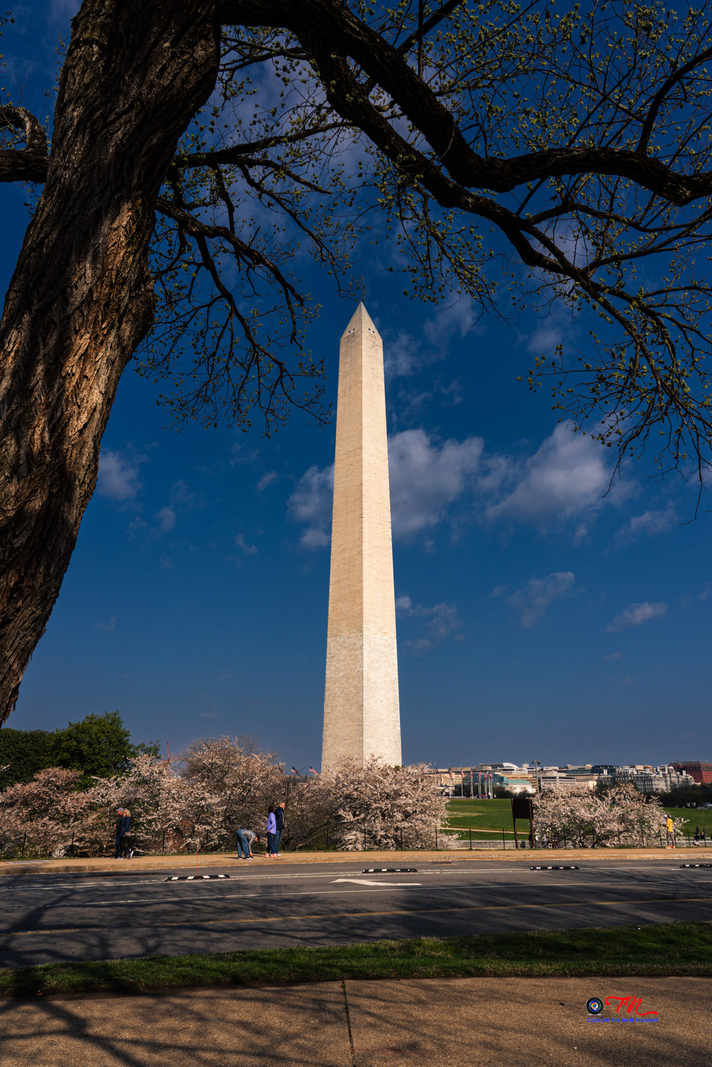 Washington Monument (Mar 2024)