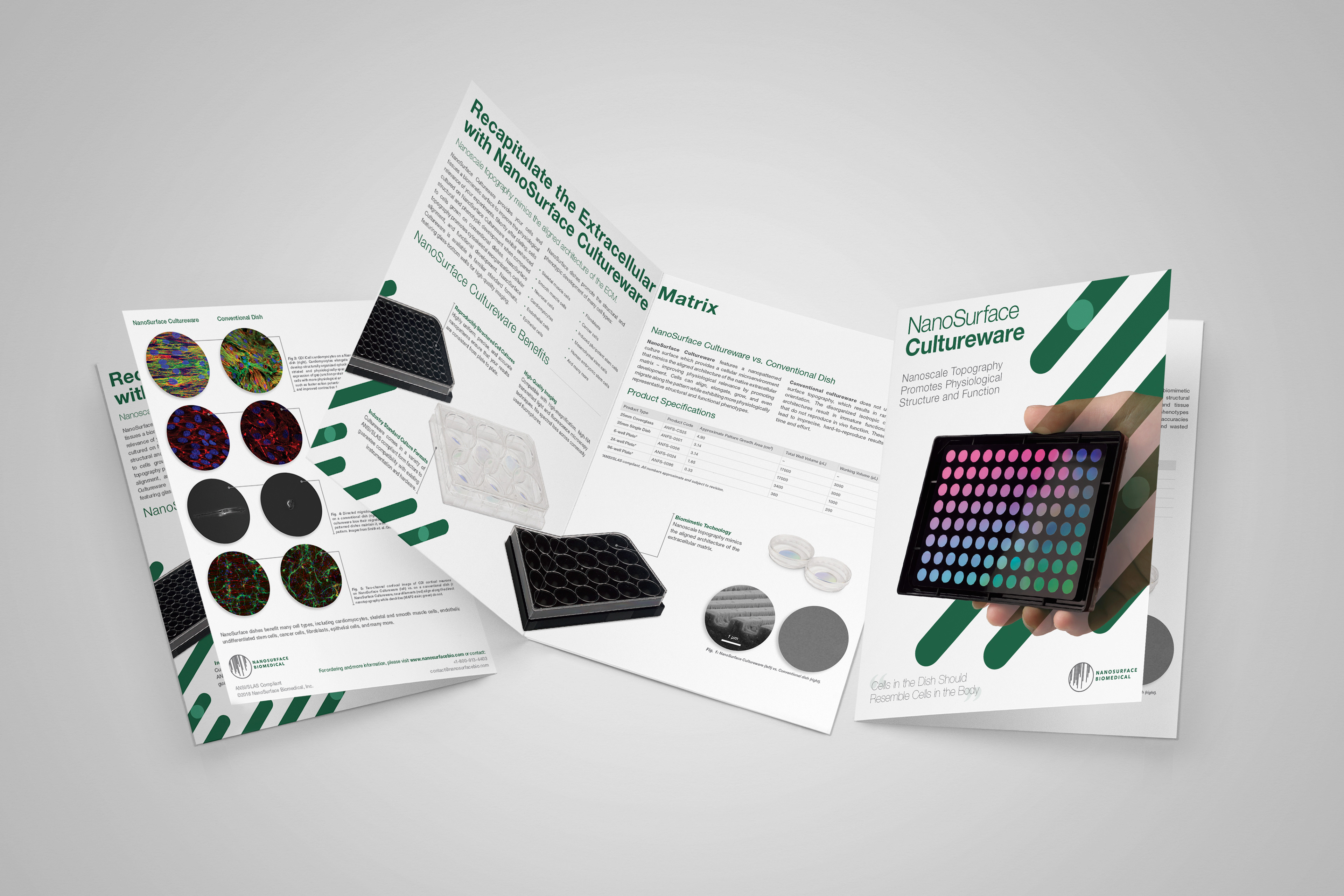 Cultureware Products Brochure Design