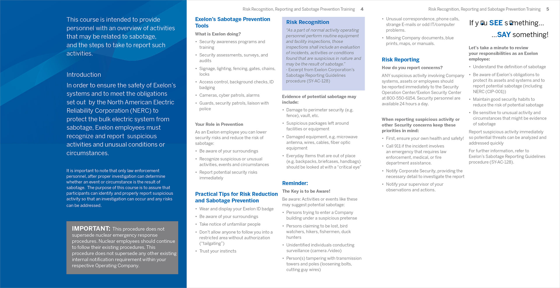 Exelon Risk Recognition Bro2
