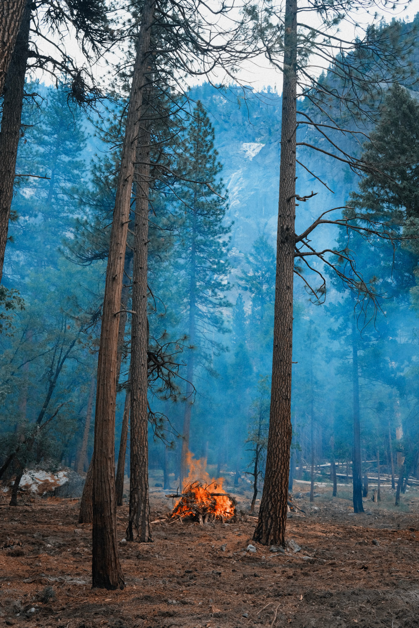 Yosemite National Park, CA
