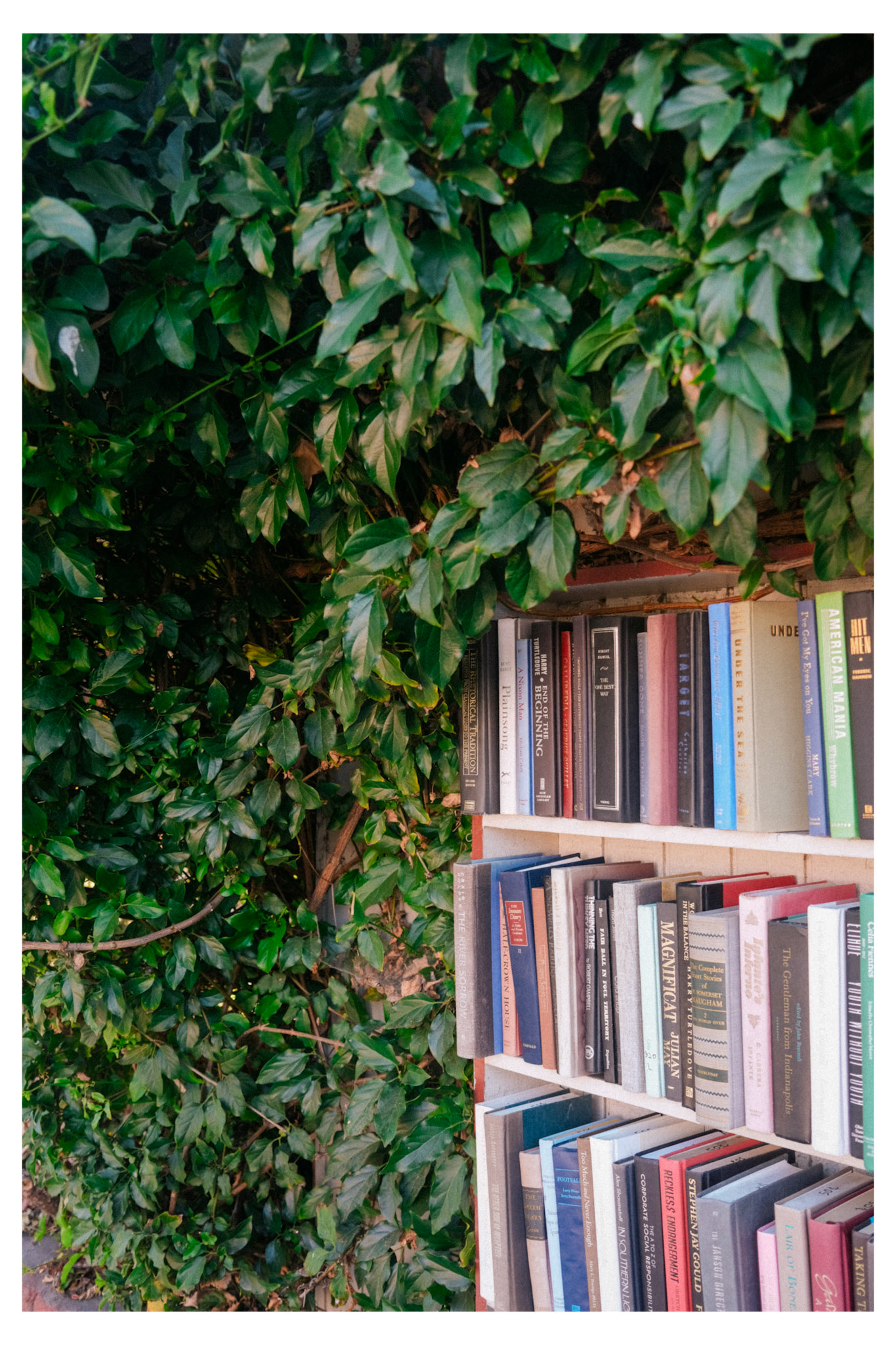 Bart's Books, CA