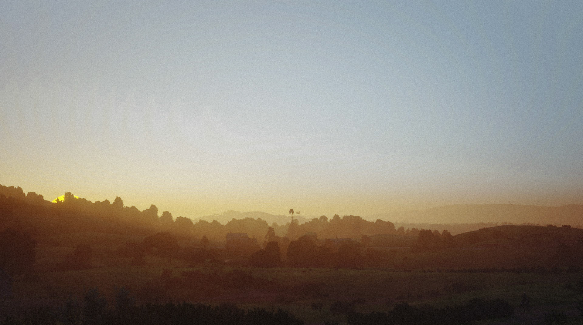 Red Dead Redemption II