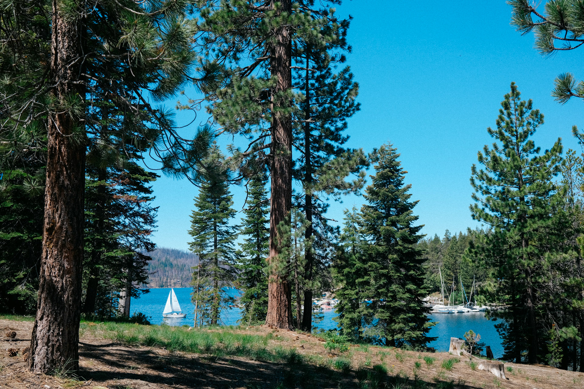 Sierra National Forrest, CA