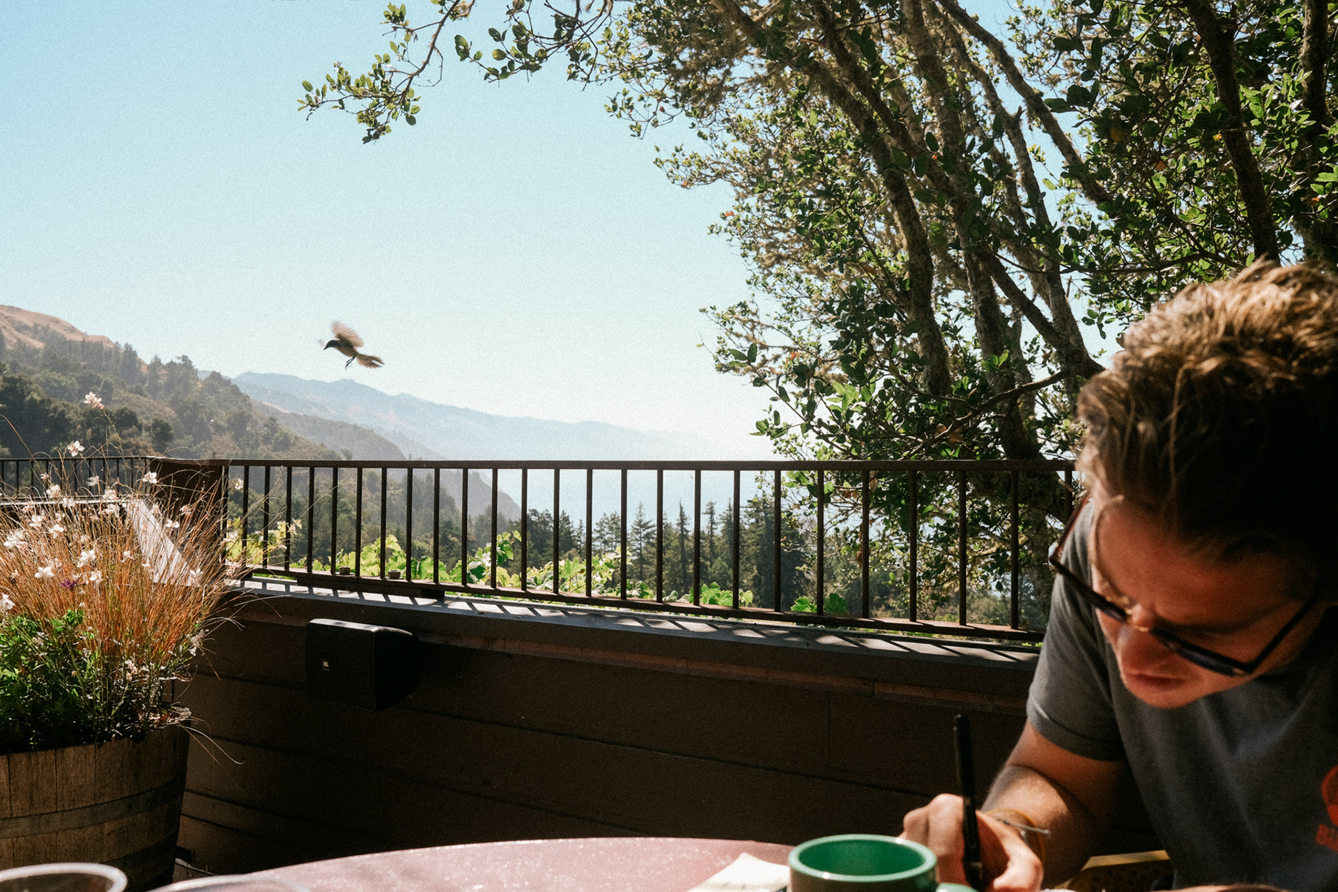 Big Sur, CA