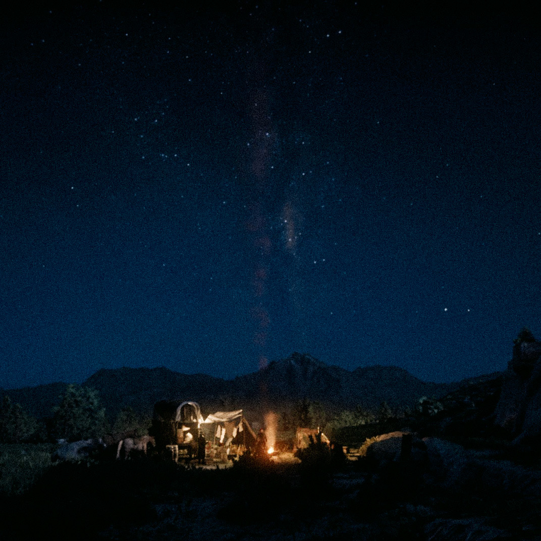 Red Dead Redemption II