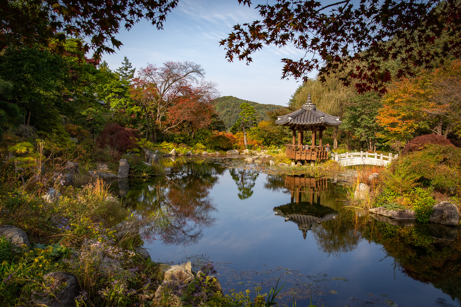 Beautiful "peace" park
