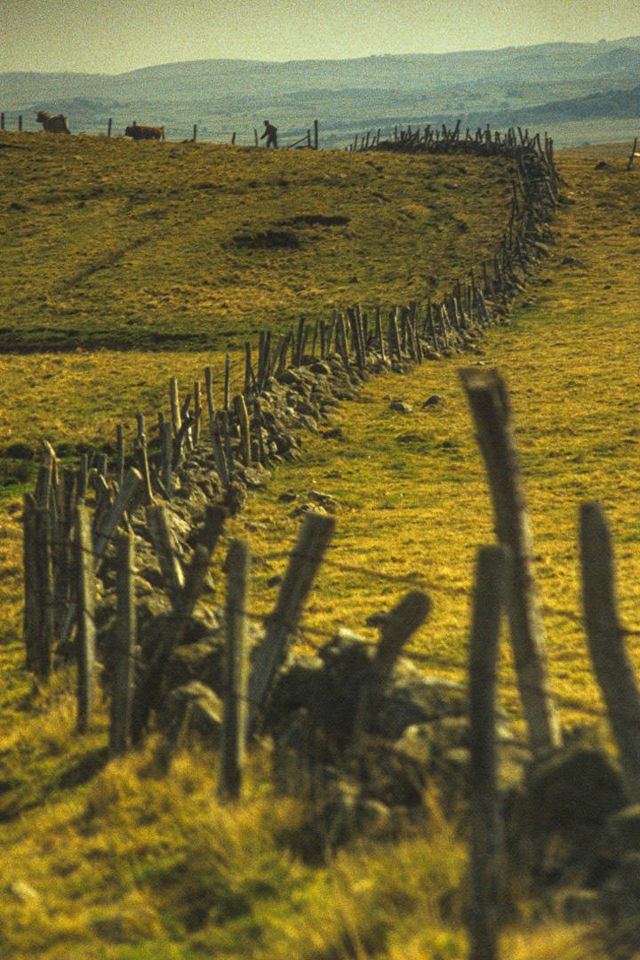 Aubrac, France, © MyPhototek
