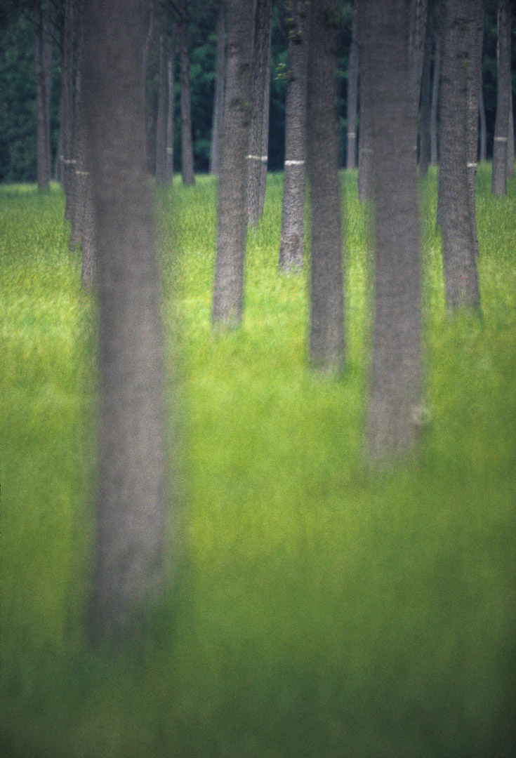 Oise, © MyPhototek