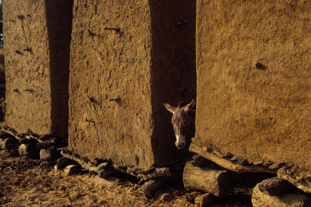Mali, © MyPhototek