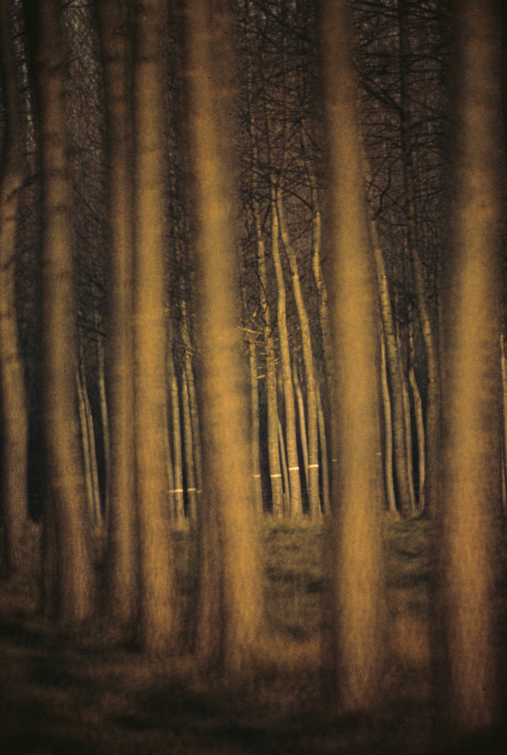Oise, © MyPhototek