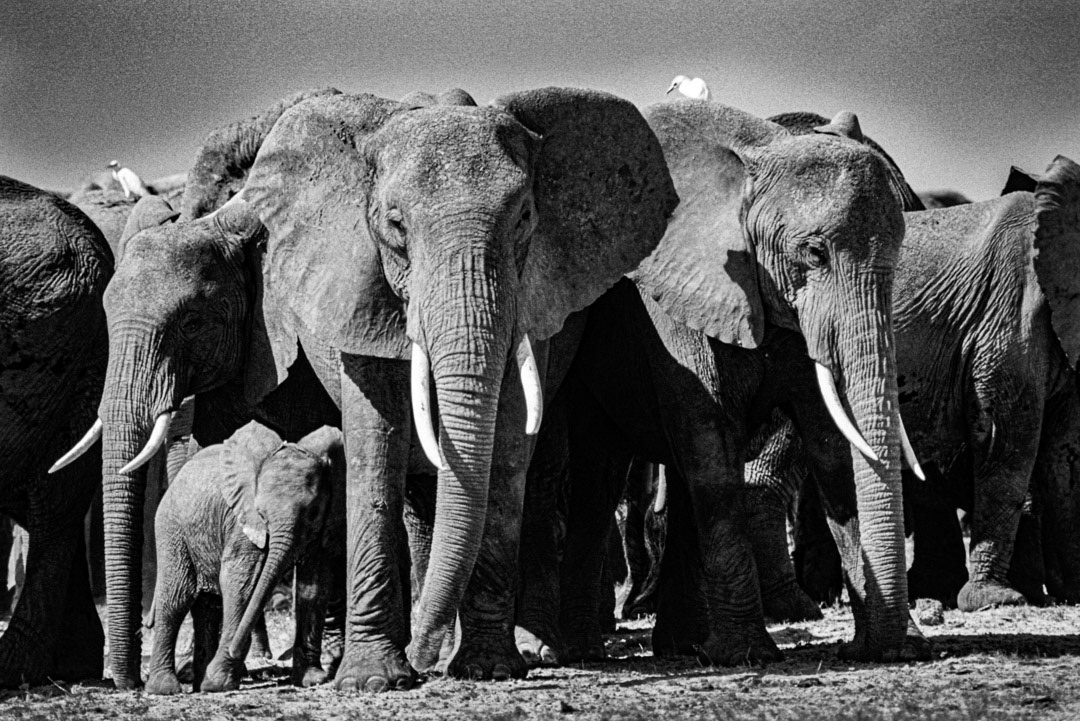Kenya, © MyPhototek