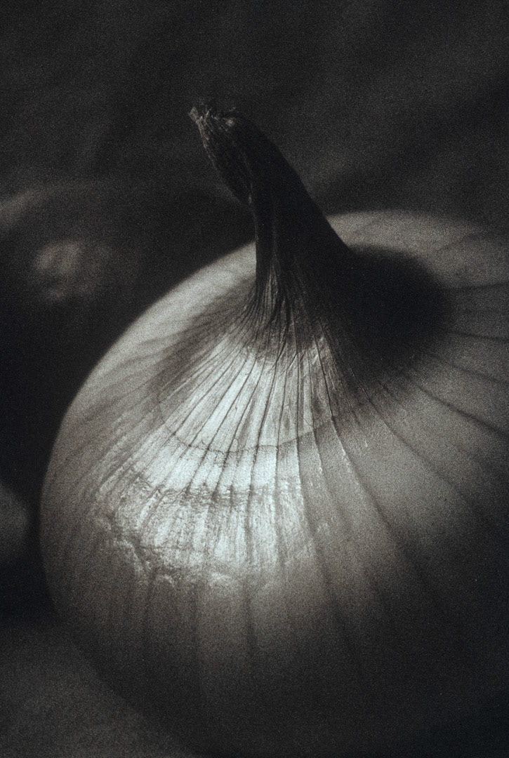 Oignon, © MyPhototek