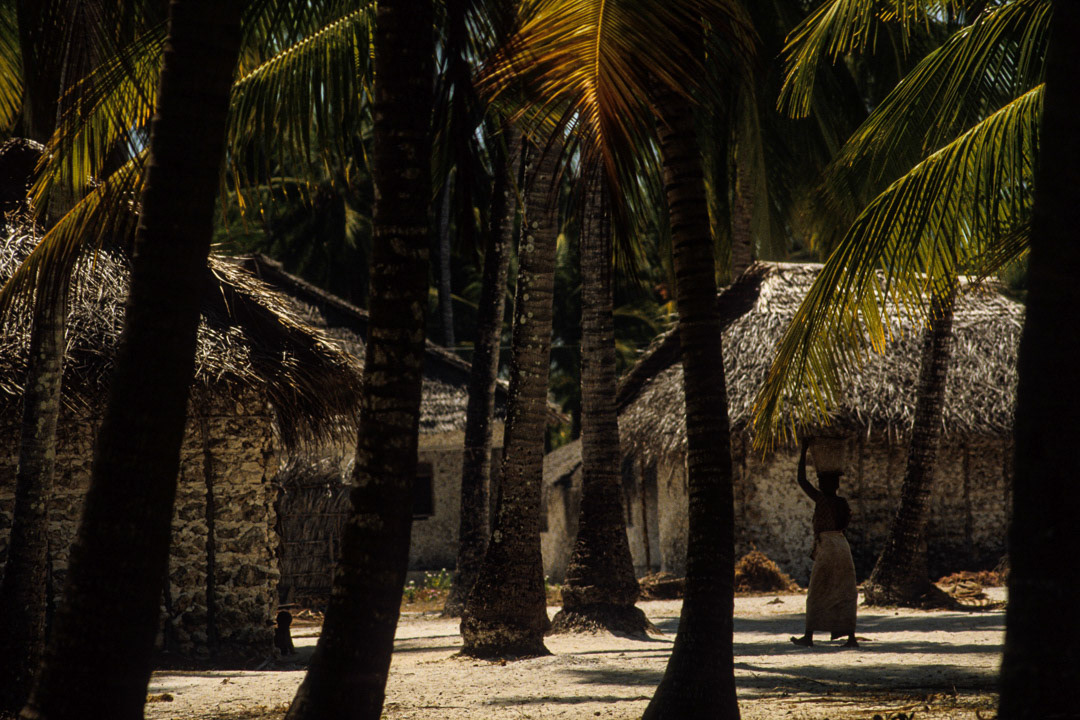Tanzanie, © MyPhototek